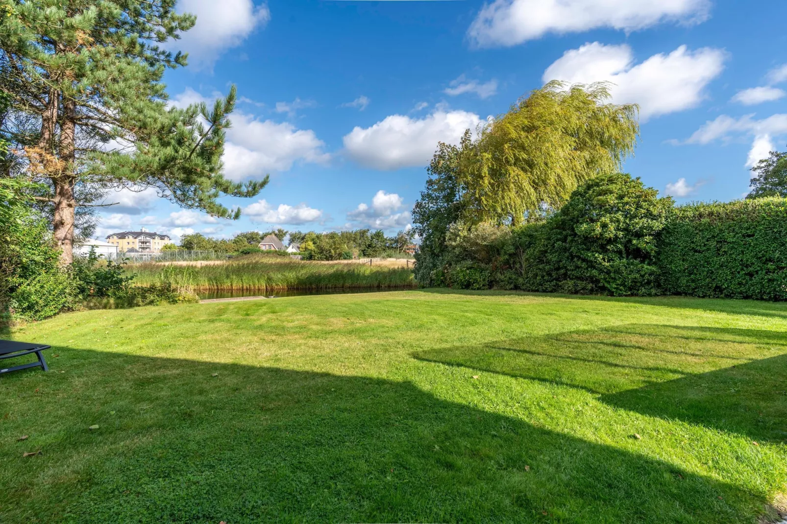 Kamperfoelie 63-Tuinen zomer