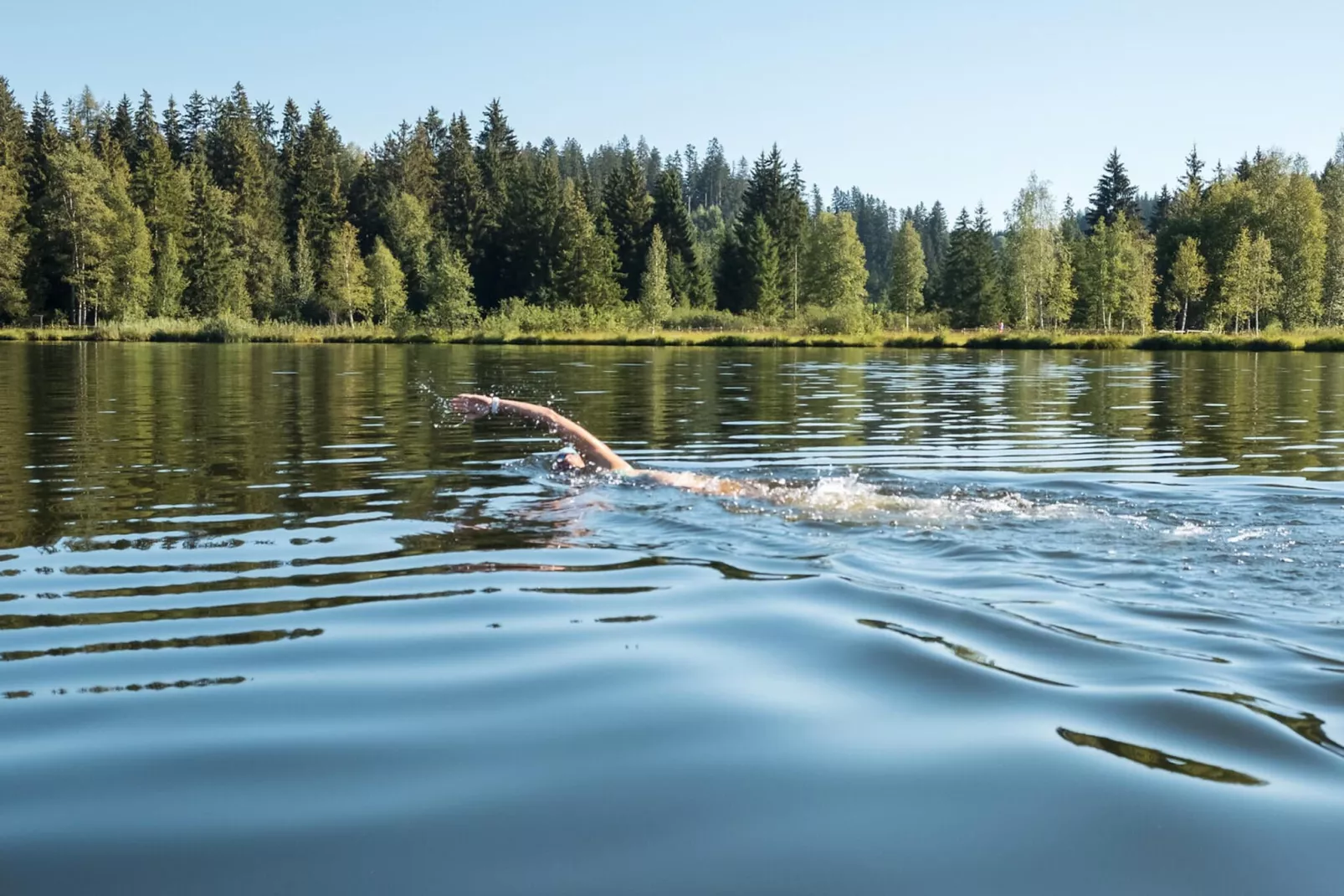 Mountapart- Steinbergkogel Top 8-Gebieden zomer 20km