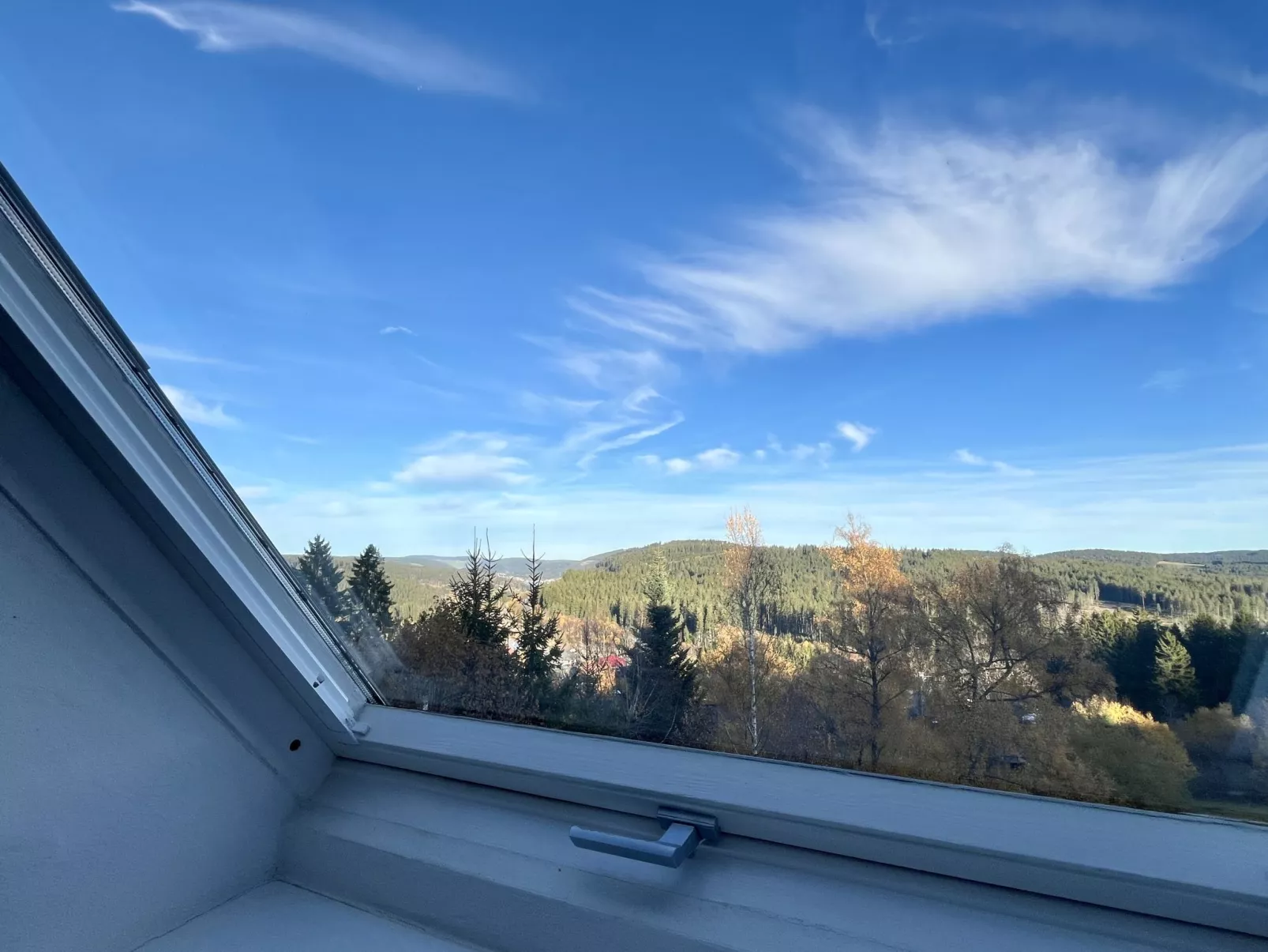 Falkennest - mit Blick auf den Titisee-Buiten