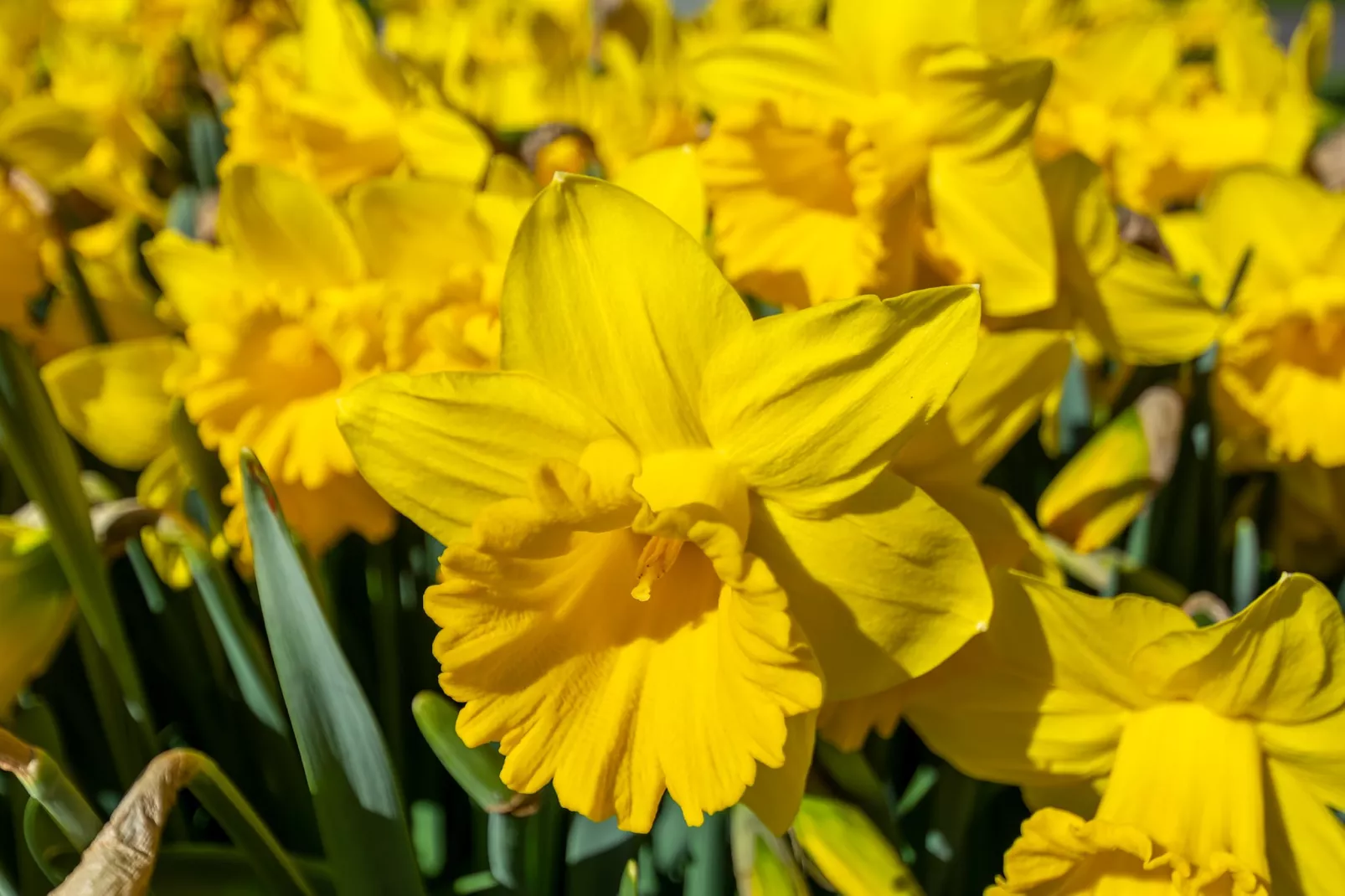 Beach Appartement 04-Sfeer