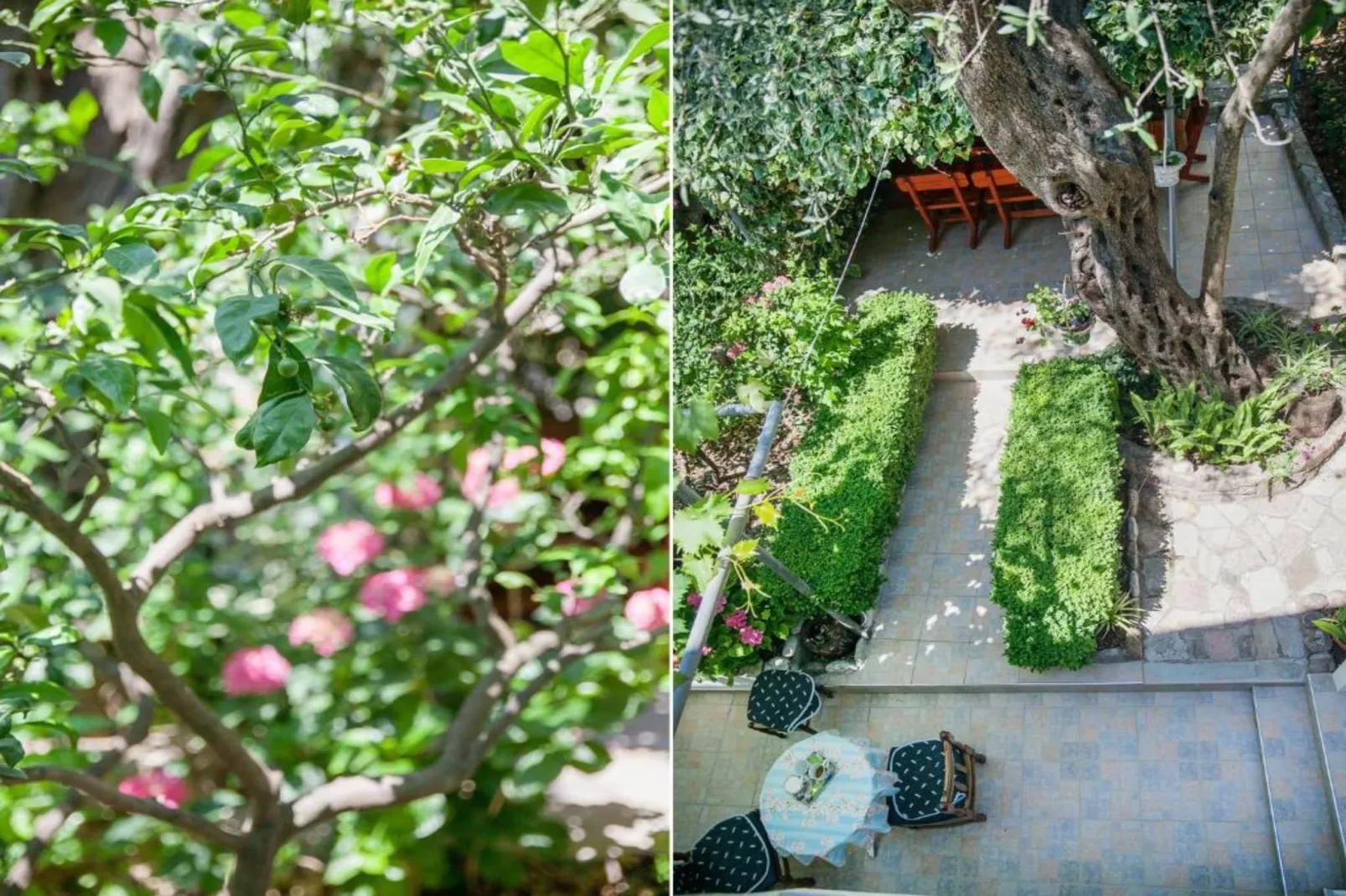 Petrovac Serenity Stay Near the Beach - Standard Double Room 2-Tuinen zomer