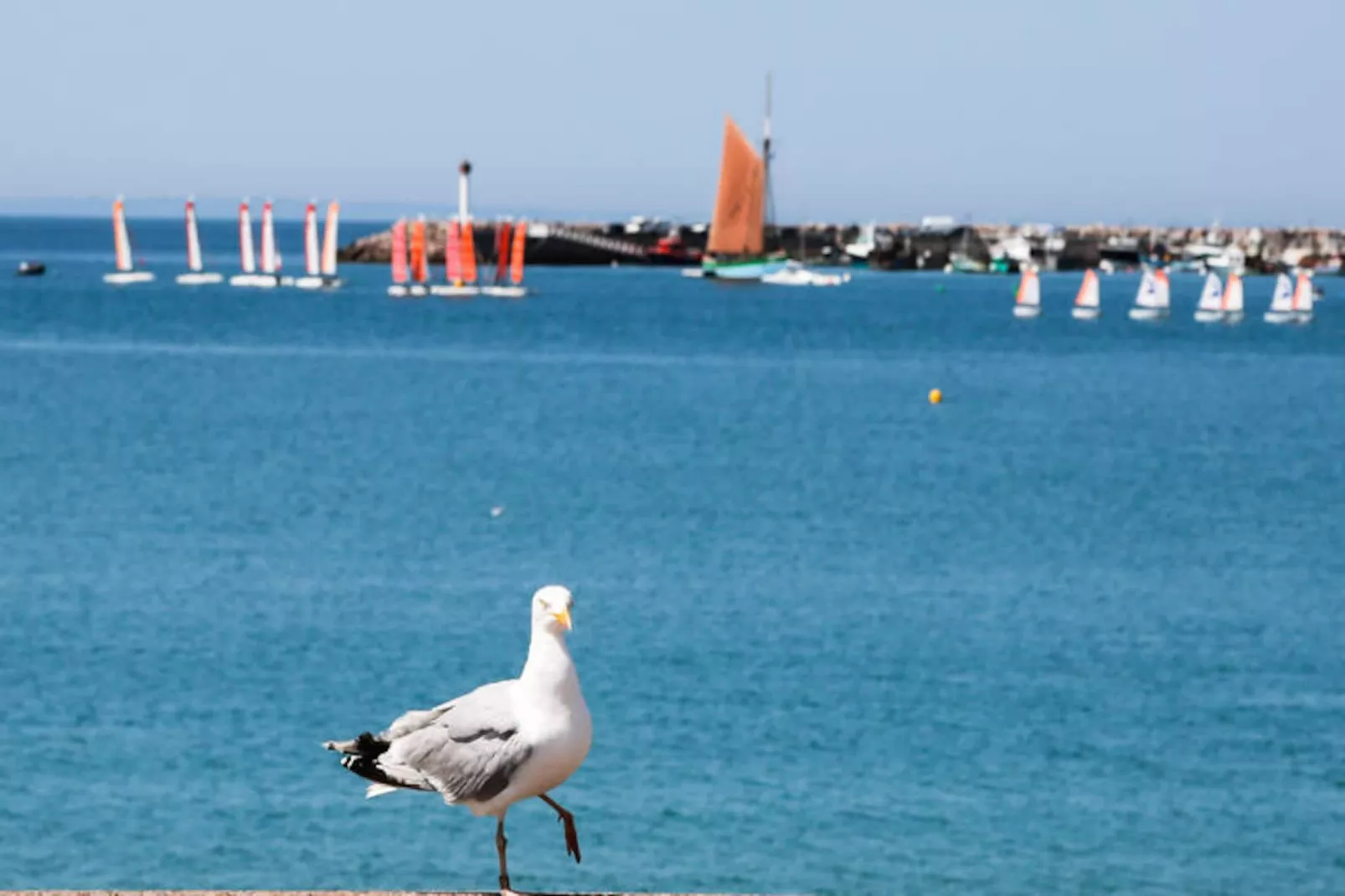 Appartements à Erquy-Niet-getagd