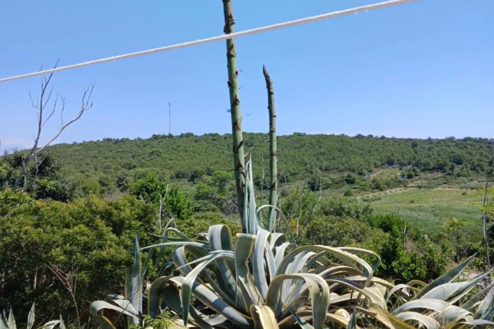 Apartmani Green Oasis - One Bedroom Apartment with Terrace and Sea View-Buitenlucht