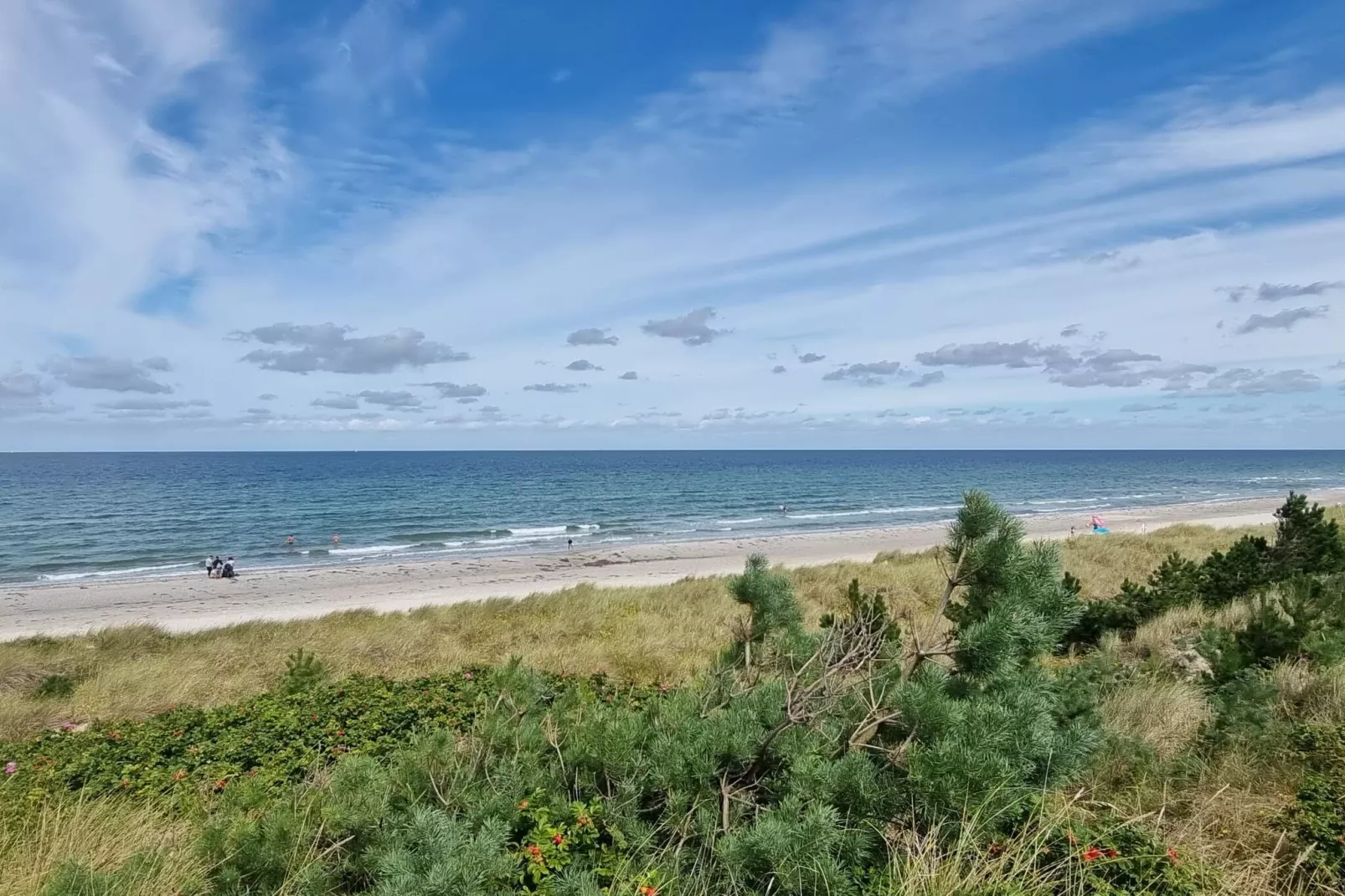 Gezellig toevluchtsoord in Rorvig Haven-By Traum-Waterzicht