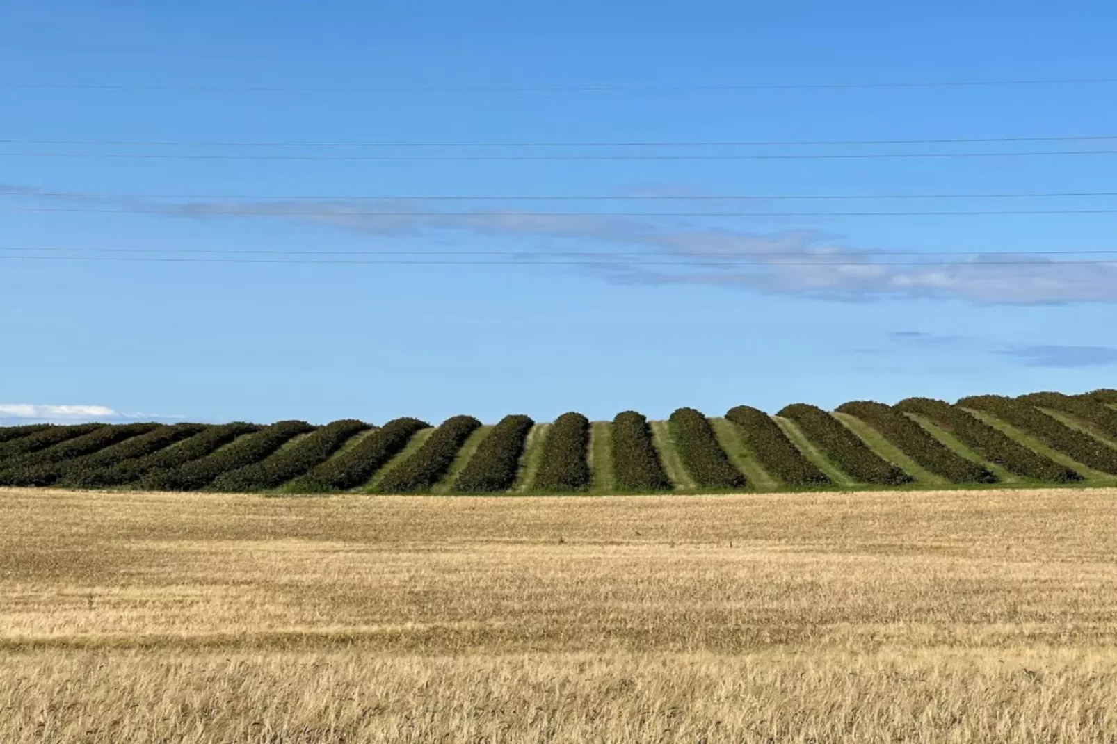 8 persoons vakantie huis in Sjællands Odde-Waterzicht