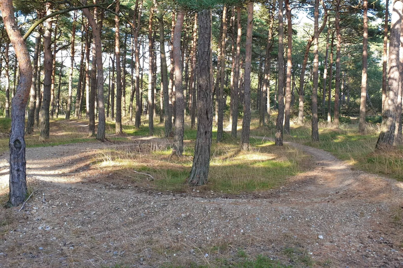 4 persoons vakantie huis in Oksbøl-Niet-getagd