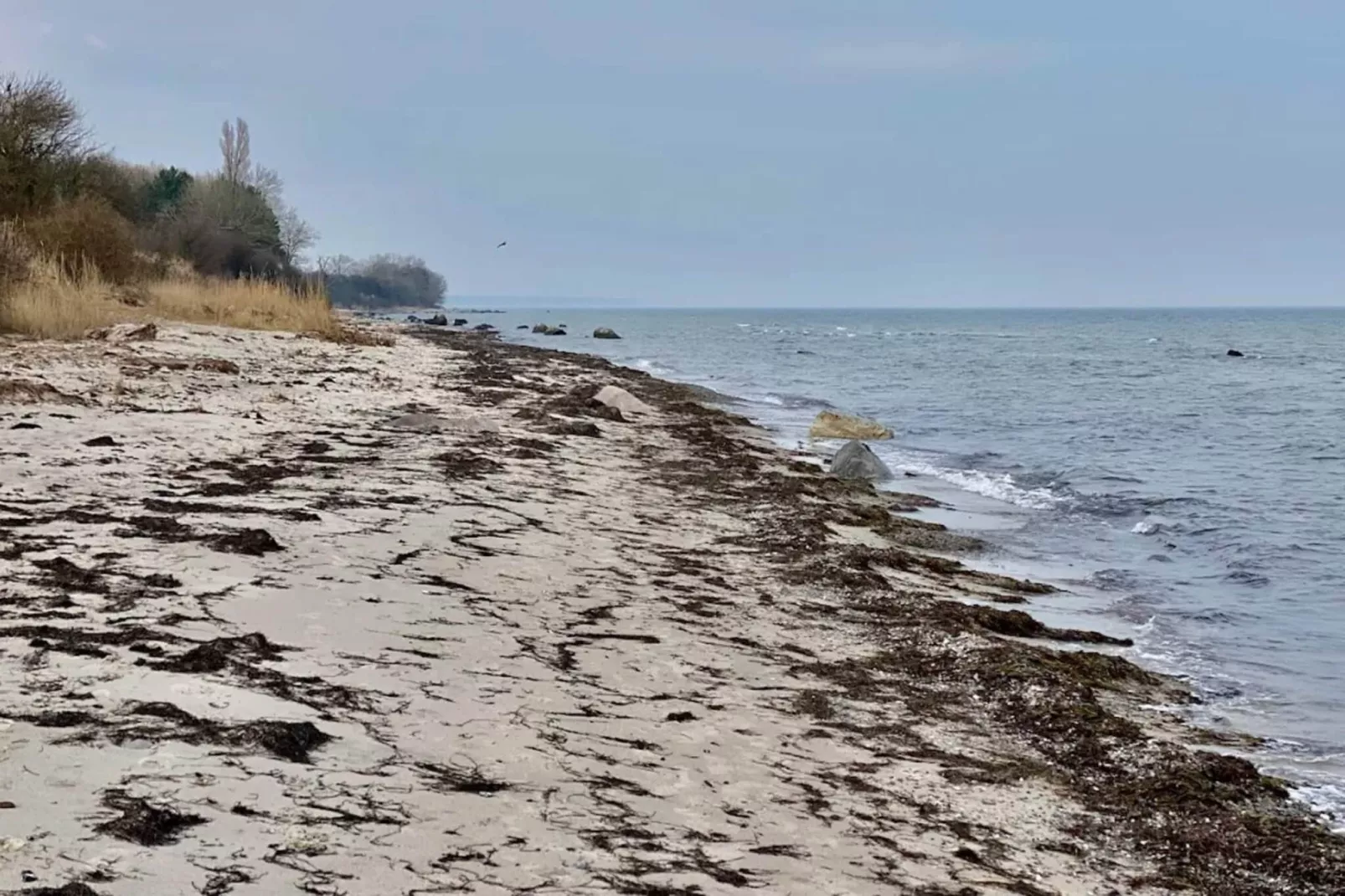 8 persoons vakantie huis in Idestrup-By Traum-Waterzicht