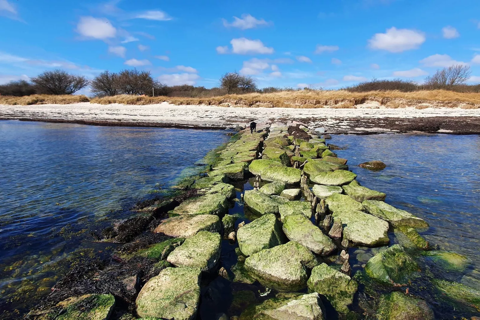Rustig strandverblijf - Door Traum-Waterzicht