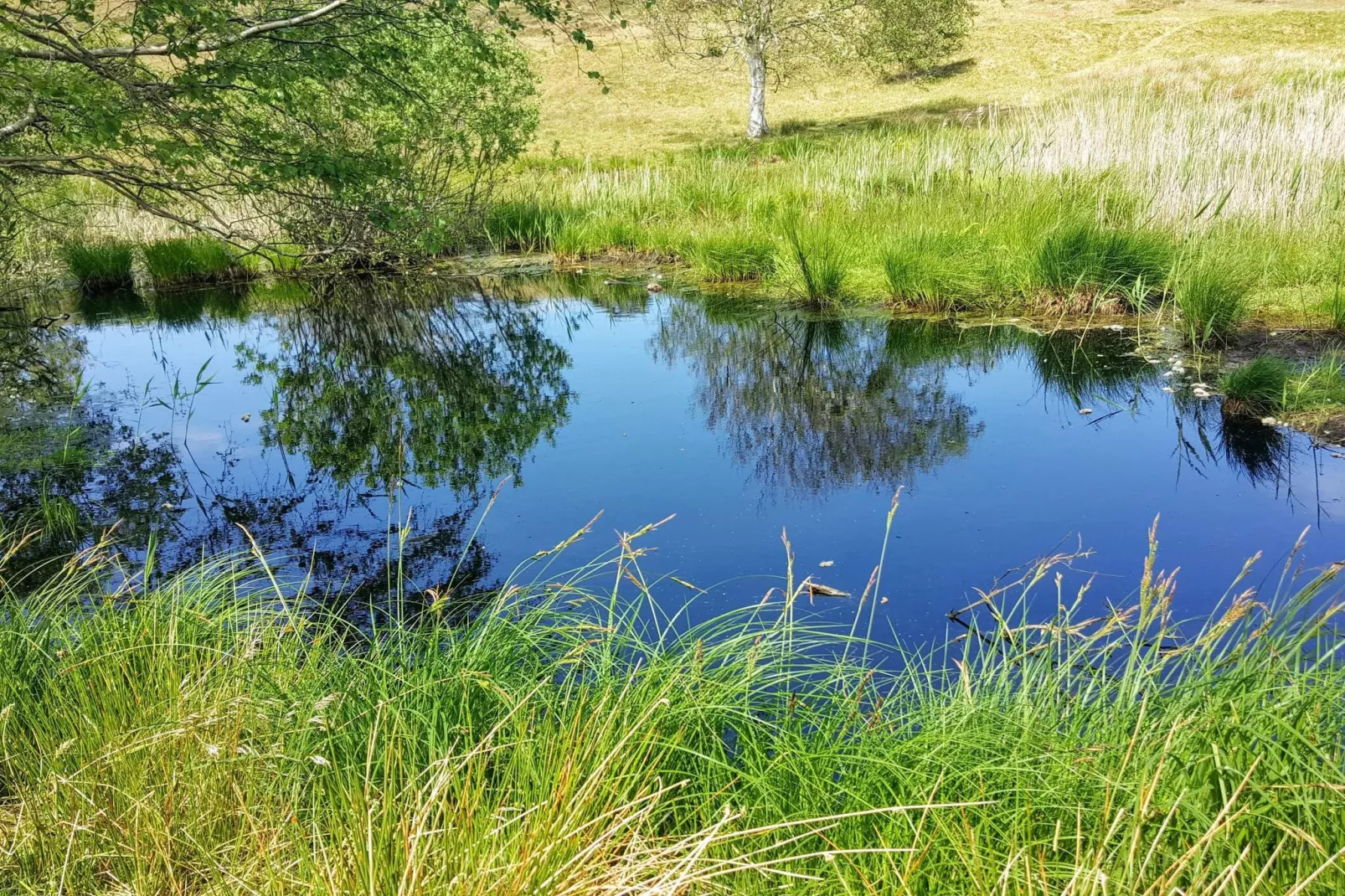 Luxe zwembad retraite Udsholt -- By Traum Ferienwohnungen-Waterzicht