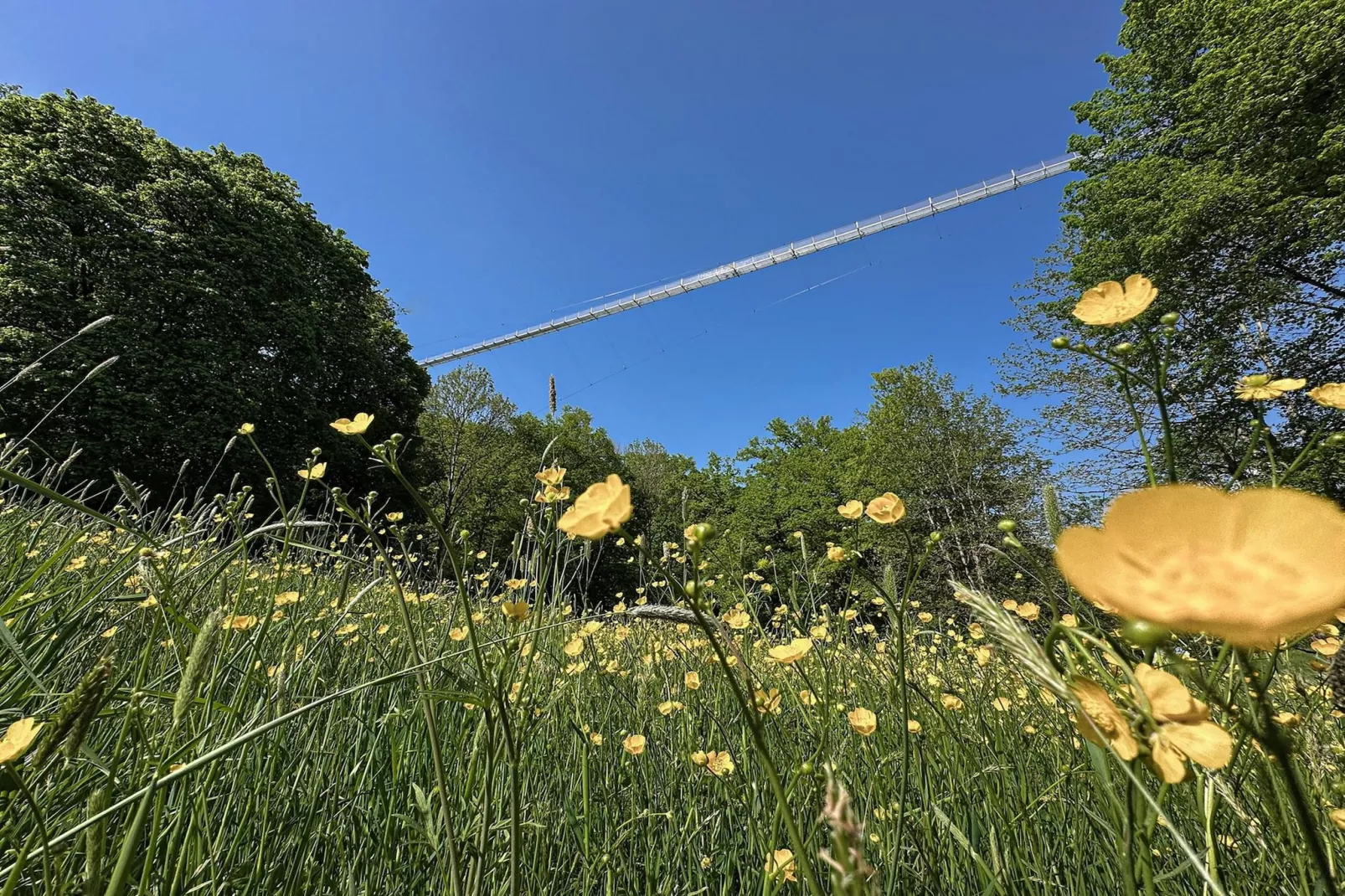 Ronshausen 1-Gebieden zomer 20km