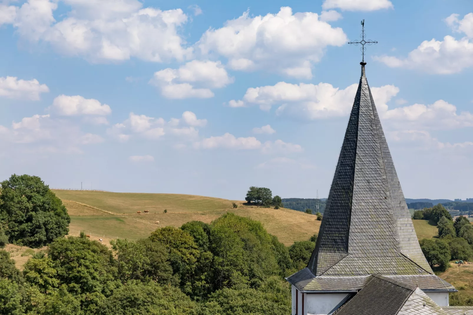 Eifelpark Kronenburger See 4-Parkfaciliteiten