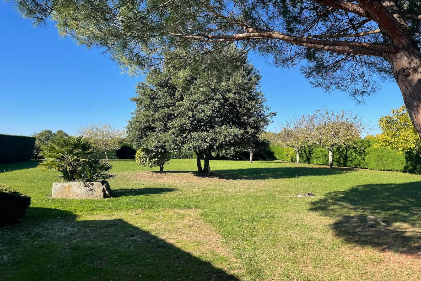 Villa Petite Champagne-Tuinen zomer