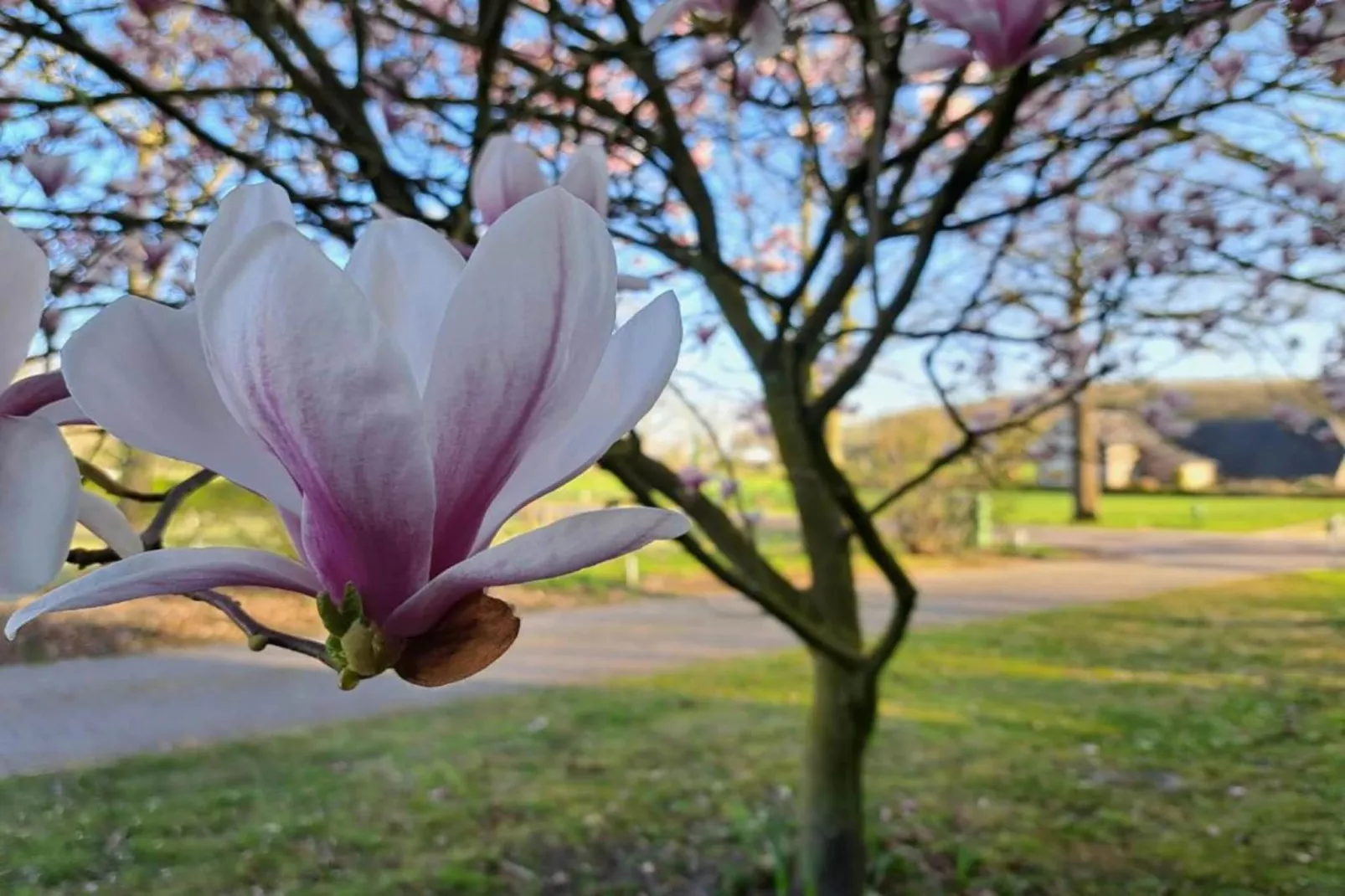 Villapark Ehzerburg 2-Gebieden zomer 20km