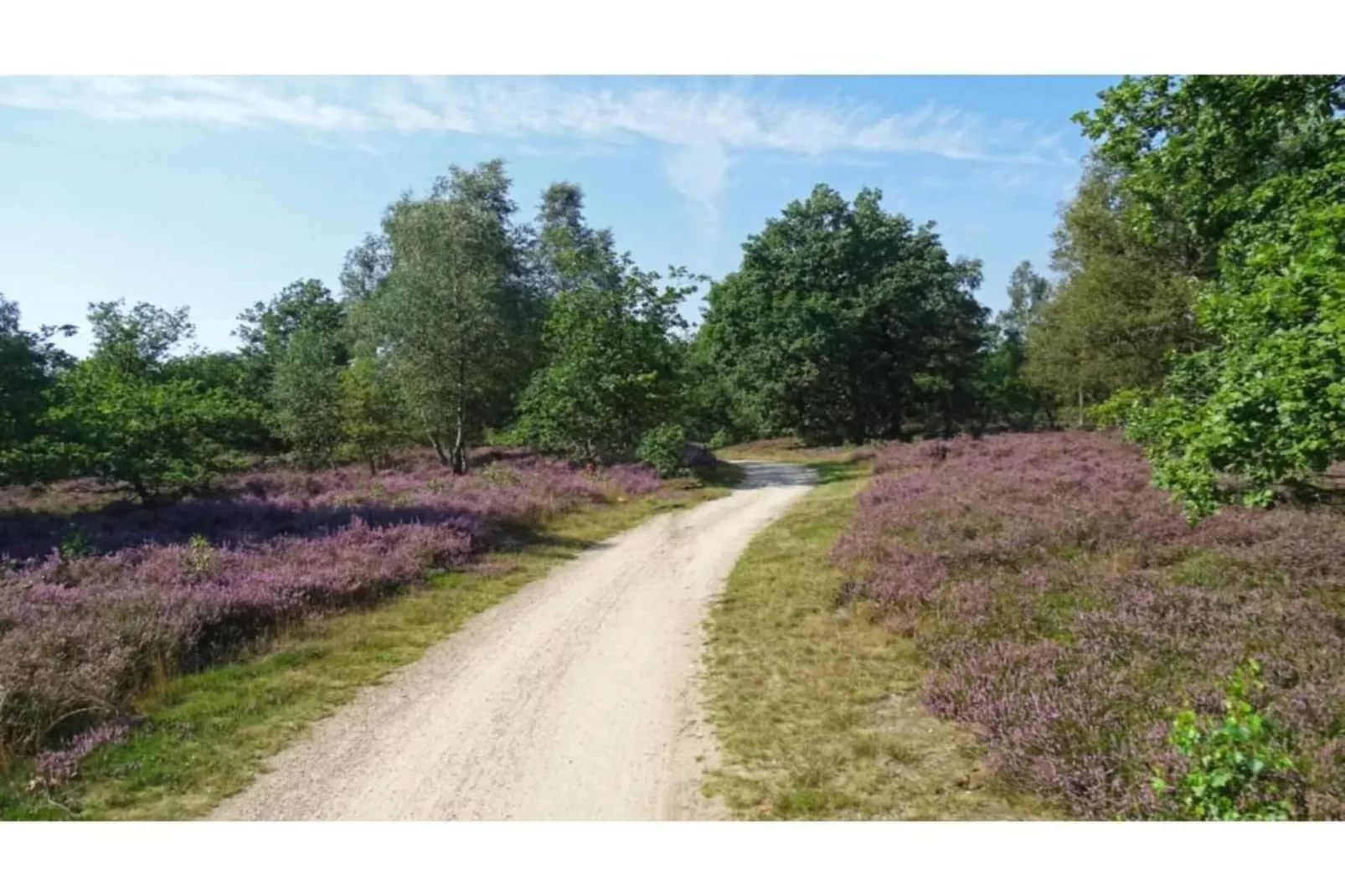 Bospark Markelo 5-Gebieden zomer 20km