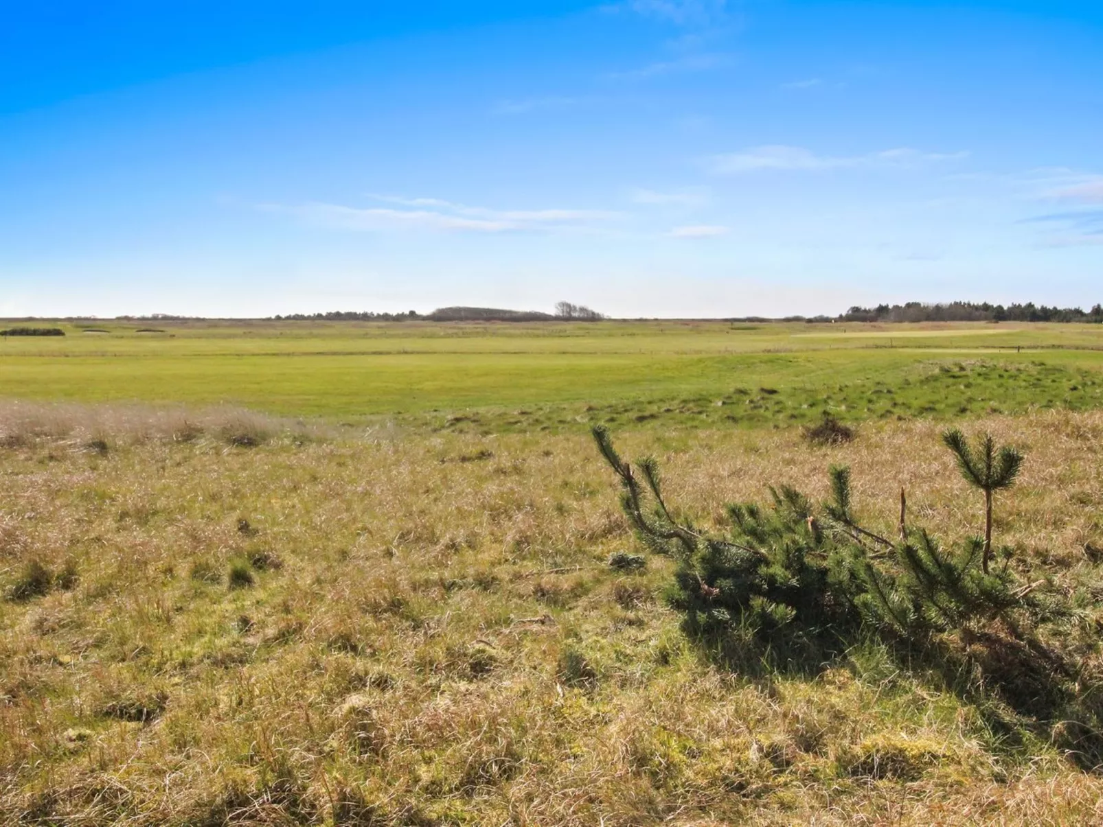 "Maura" - 2.3km from the sea - Buiten