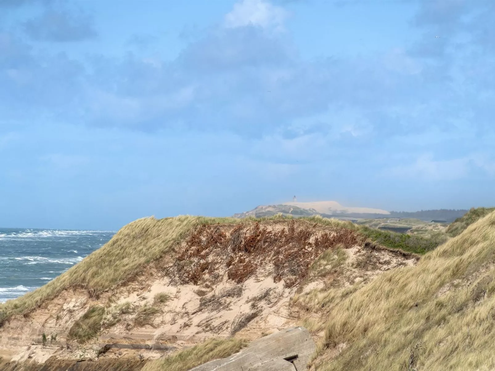 "Abbie" - 10m from the sea-Buiten