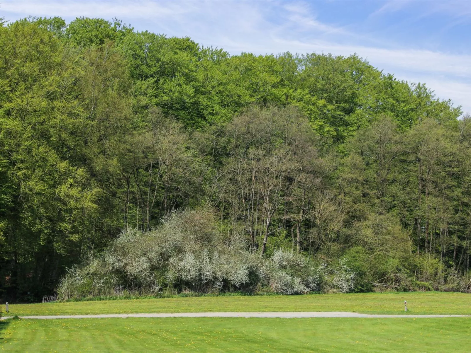 "Freding" - 250m to the fjord-Buiten