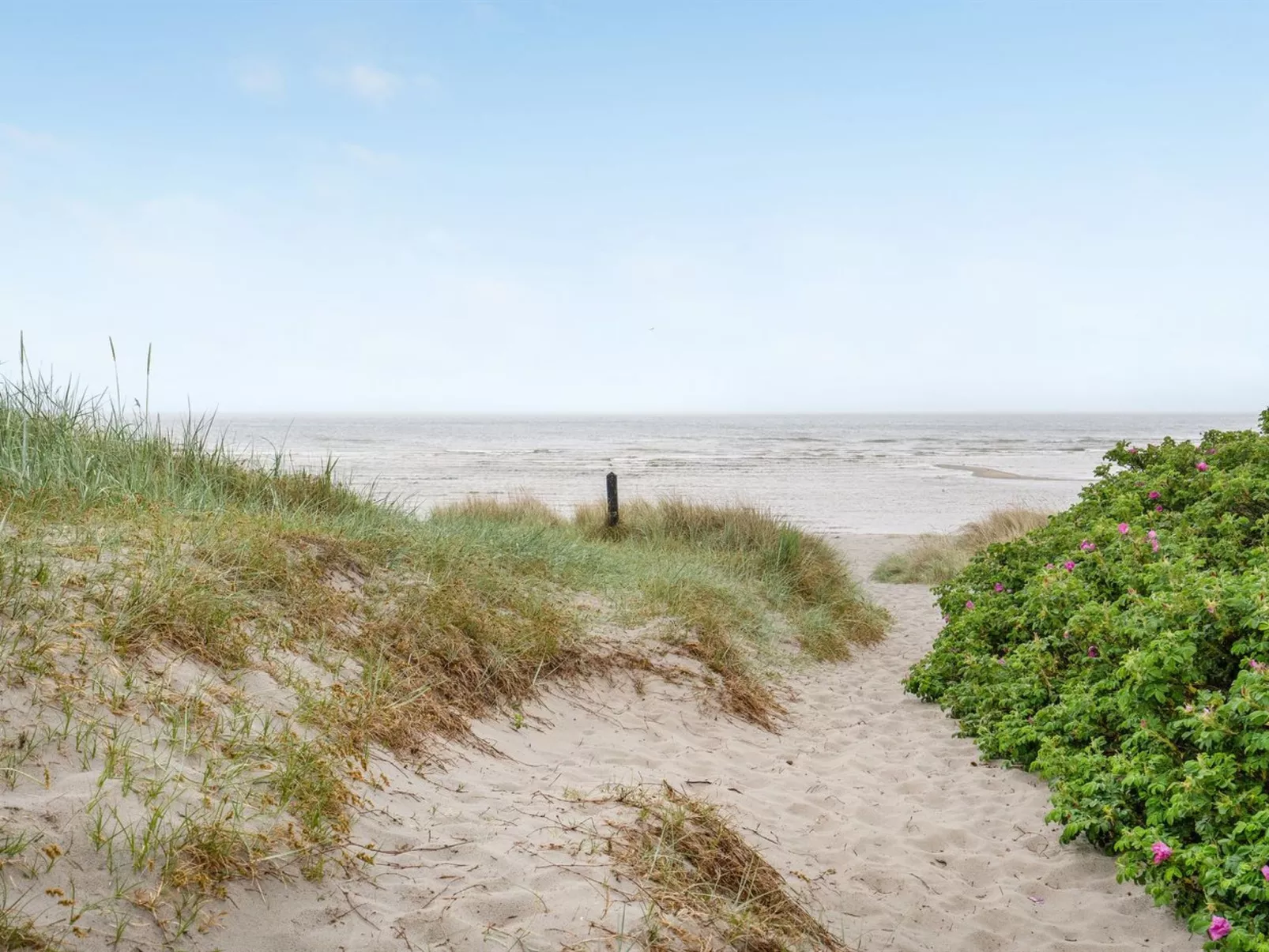 "Erikgine" - 170m from the sea-Buiten