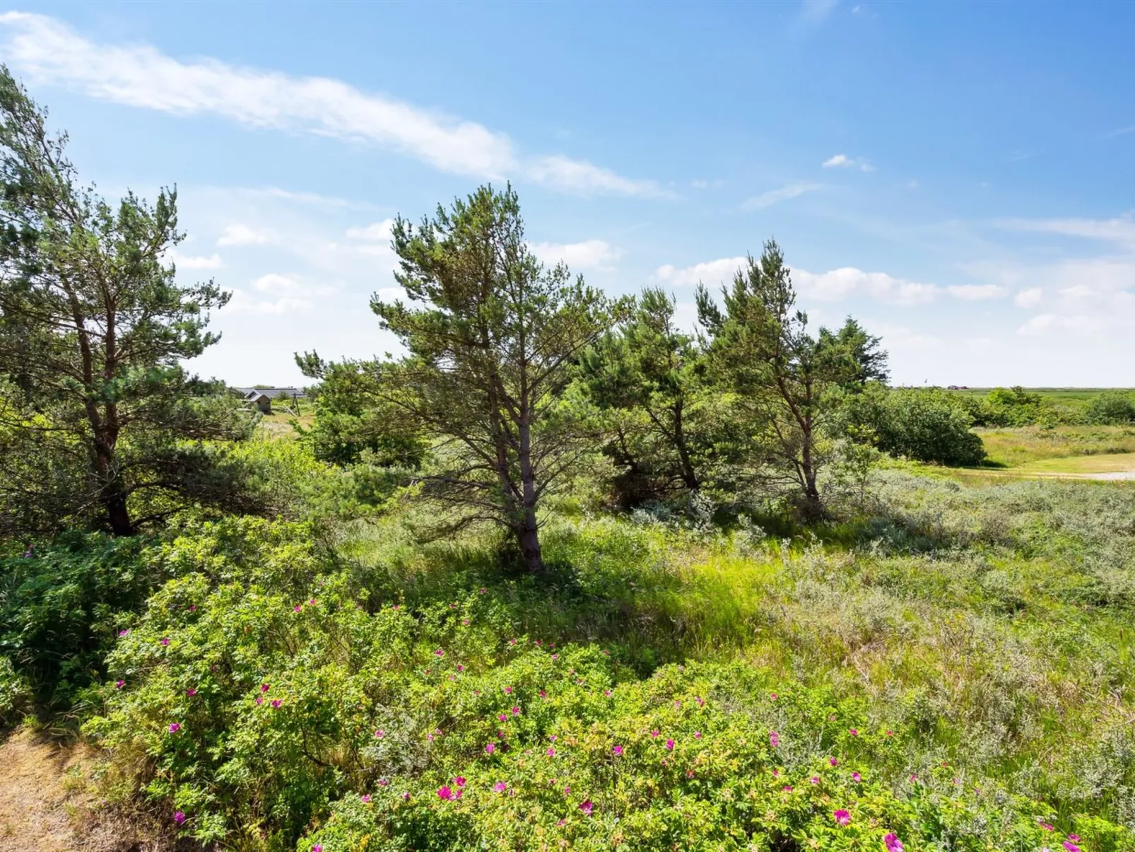 "Athalia" - 2.4km from the sea-Buiten