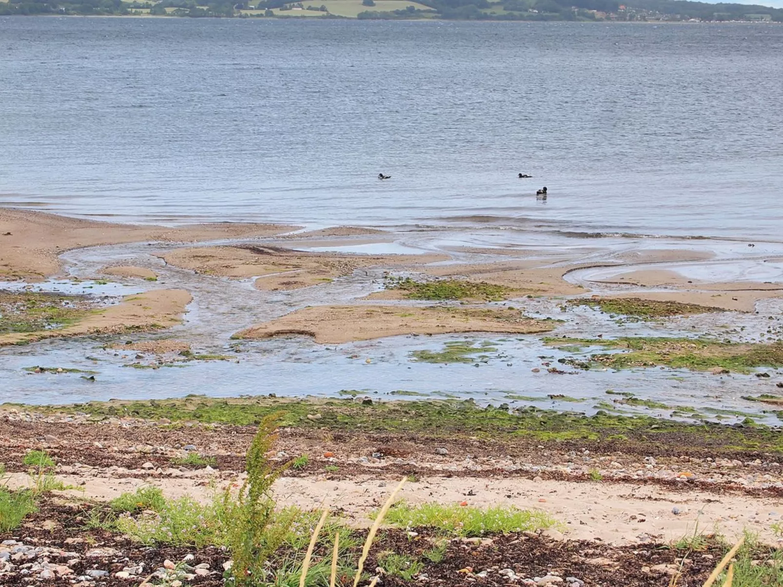 "Melia" - 50m to the fjord-Buiten