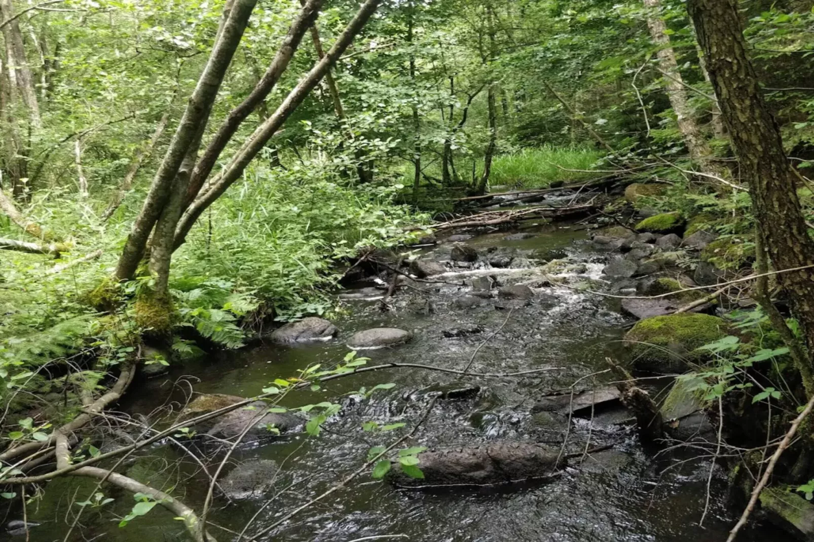 9 persoons vakantie huis in Ljungbyhed-By Traum-Waterzicht