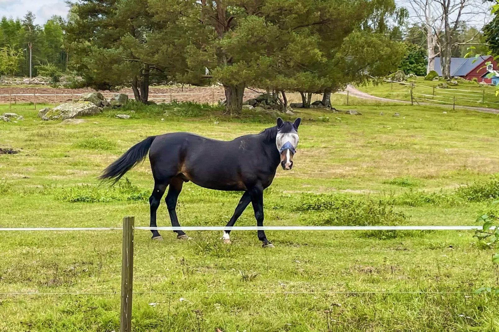 3 persoons vakantie huis in Berga-By Traum-Buitenlucht