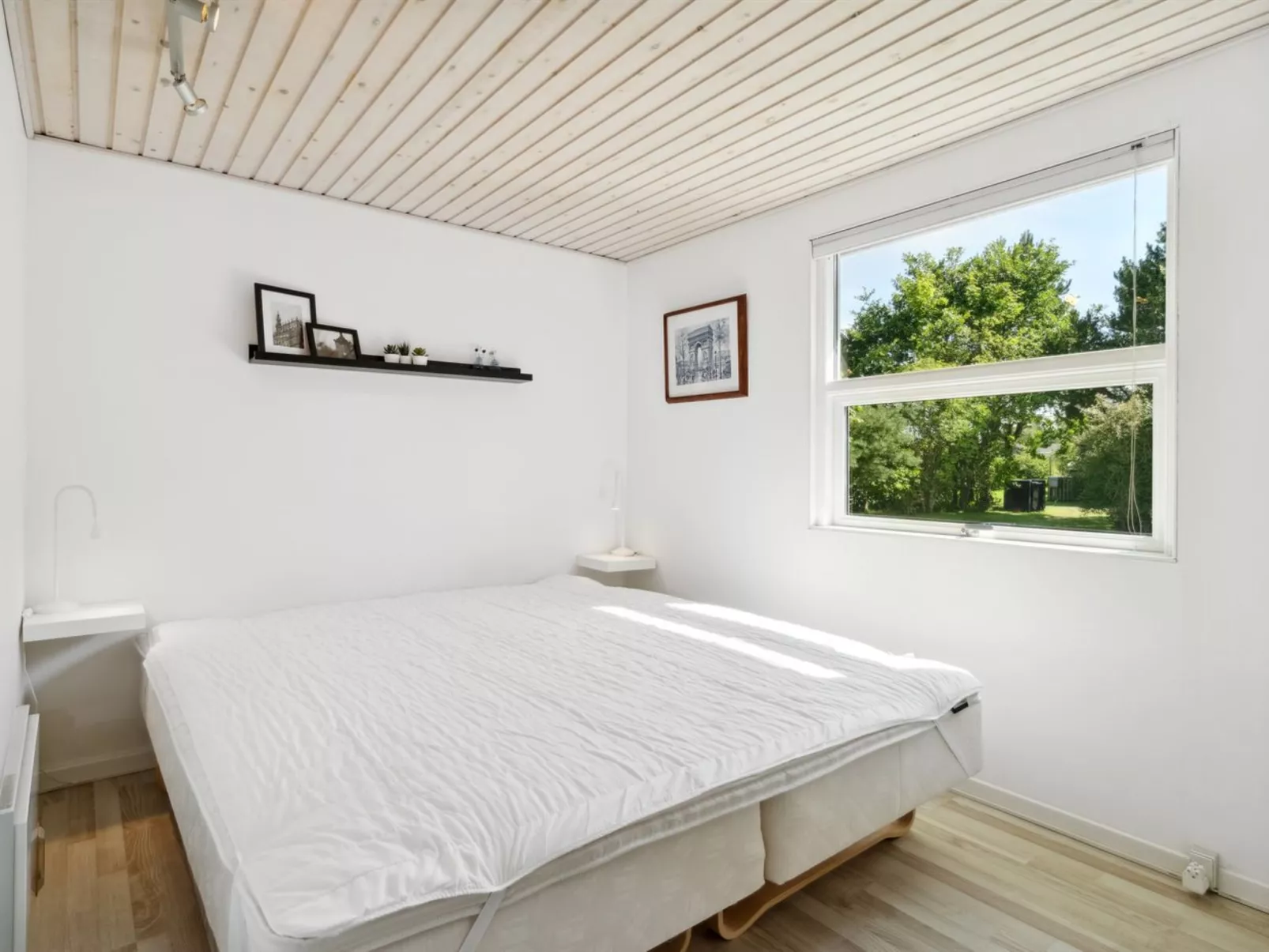 "Felippa" -  from the sea-Binnen