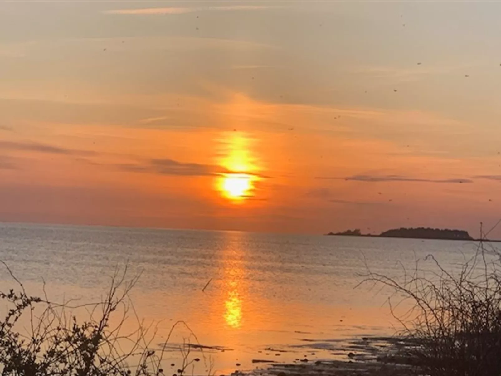 "Asvalde" - 200m to the fjord-Buiten