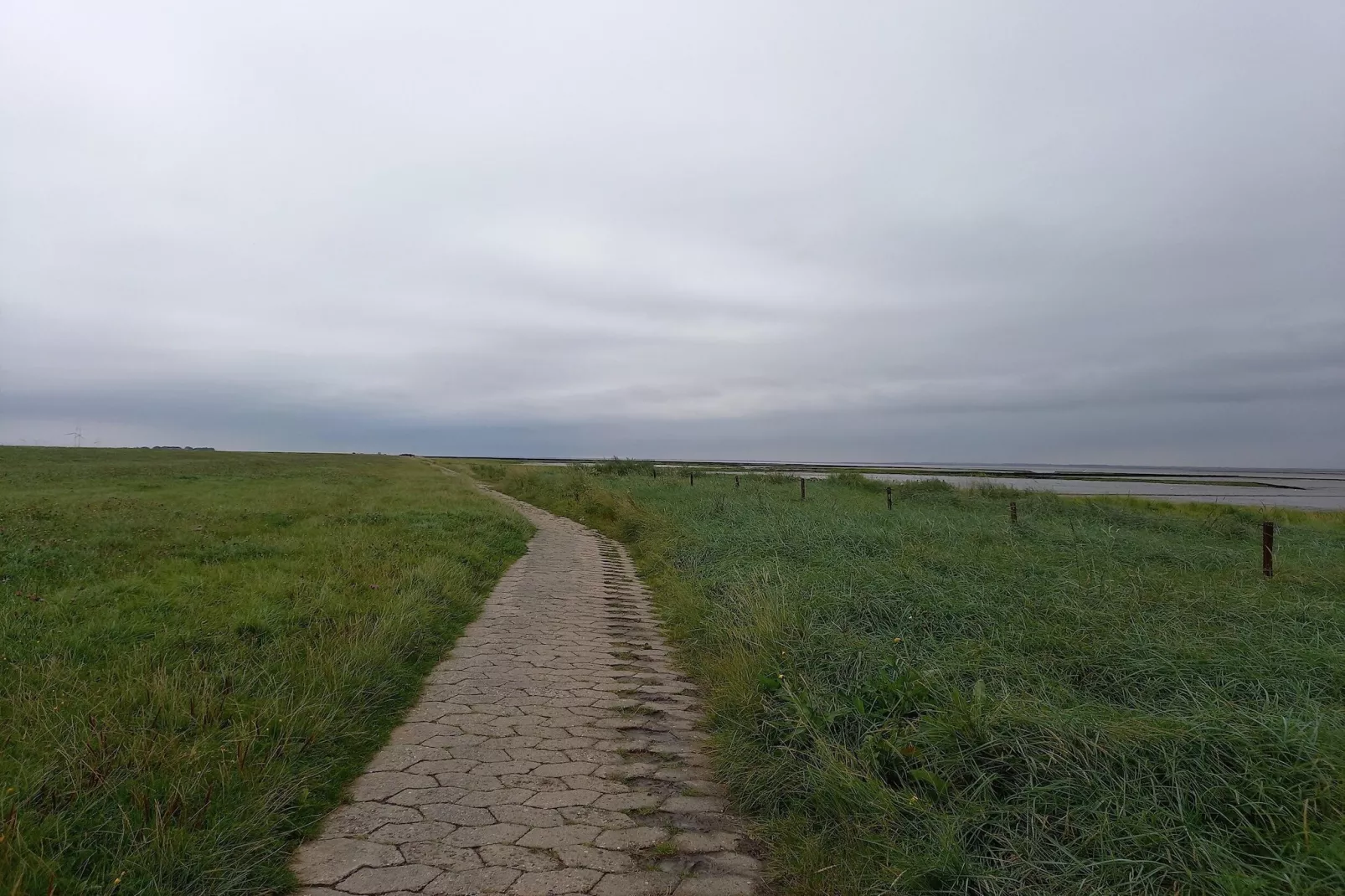 Ferienhaus Seeschwalbe-Gebieden zomer 5km