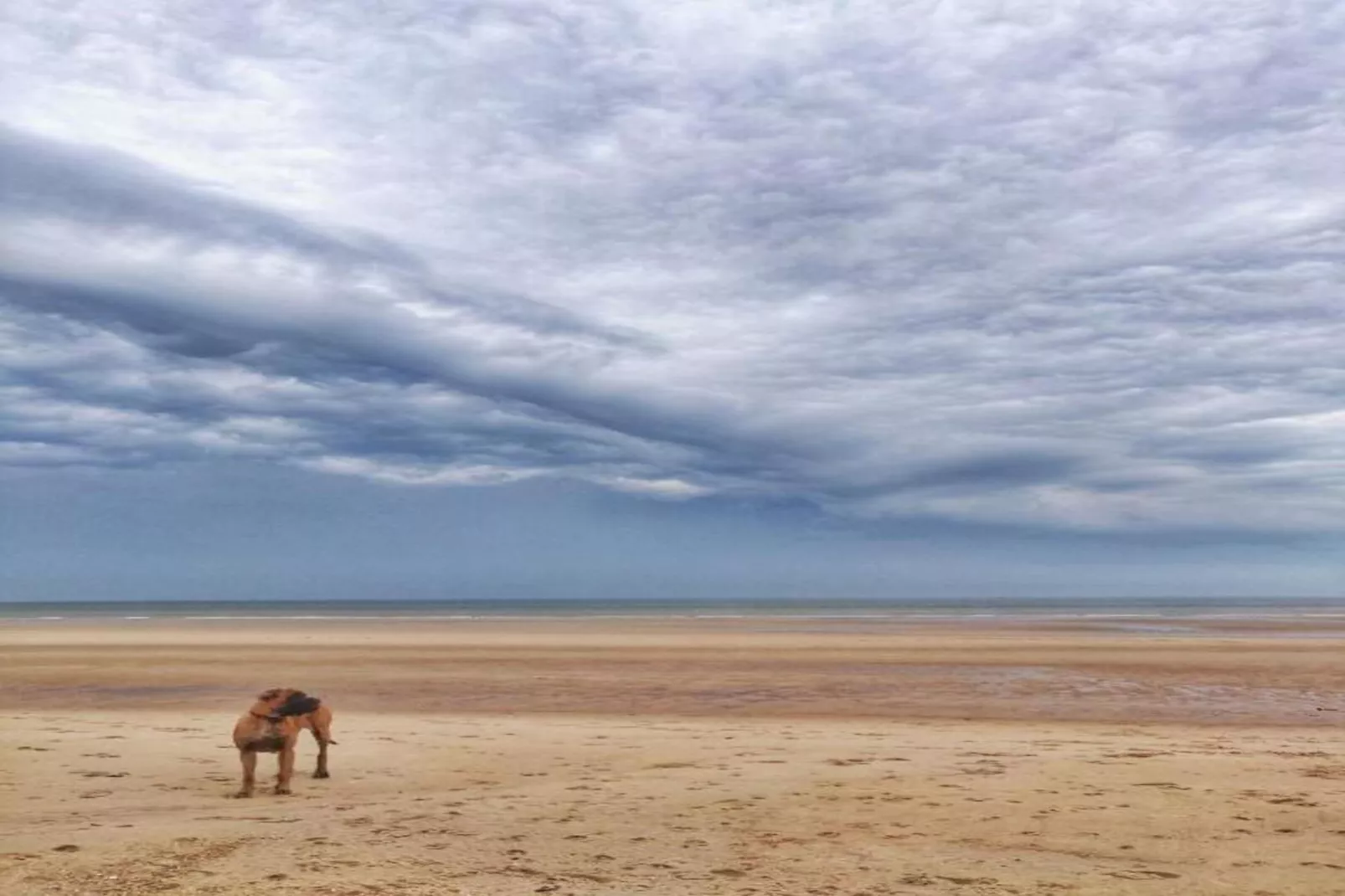 Manderley 0304-Gebieden zomer 20km