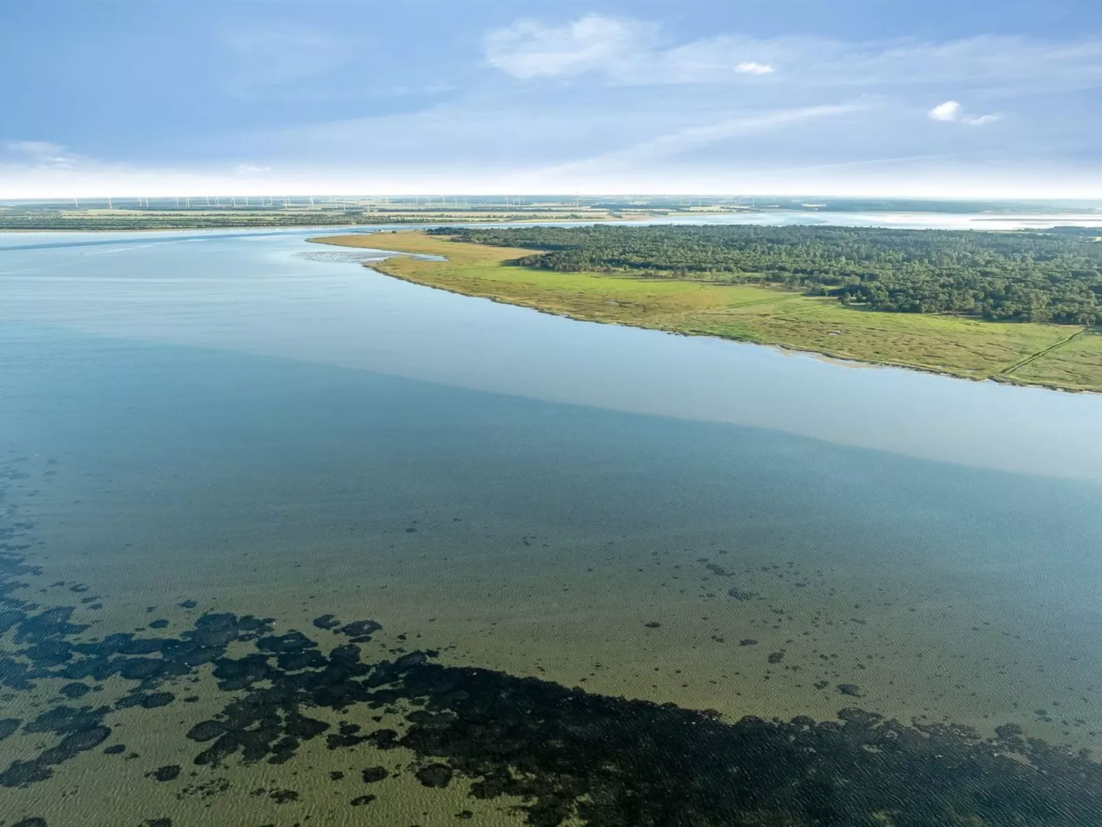 "Thorbiorn" -  from the sea-Buiten