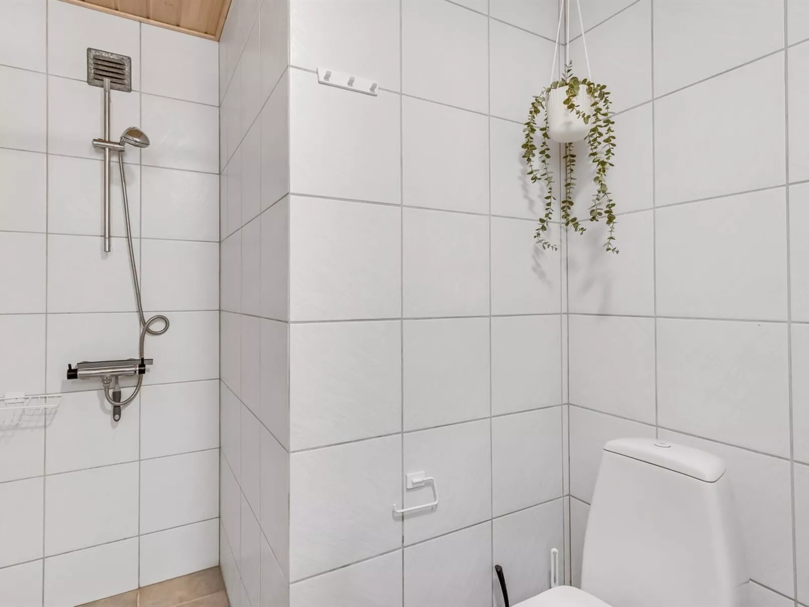 "Marlise" - 2.5km from the sea-Binnen