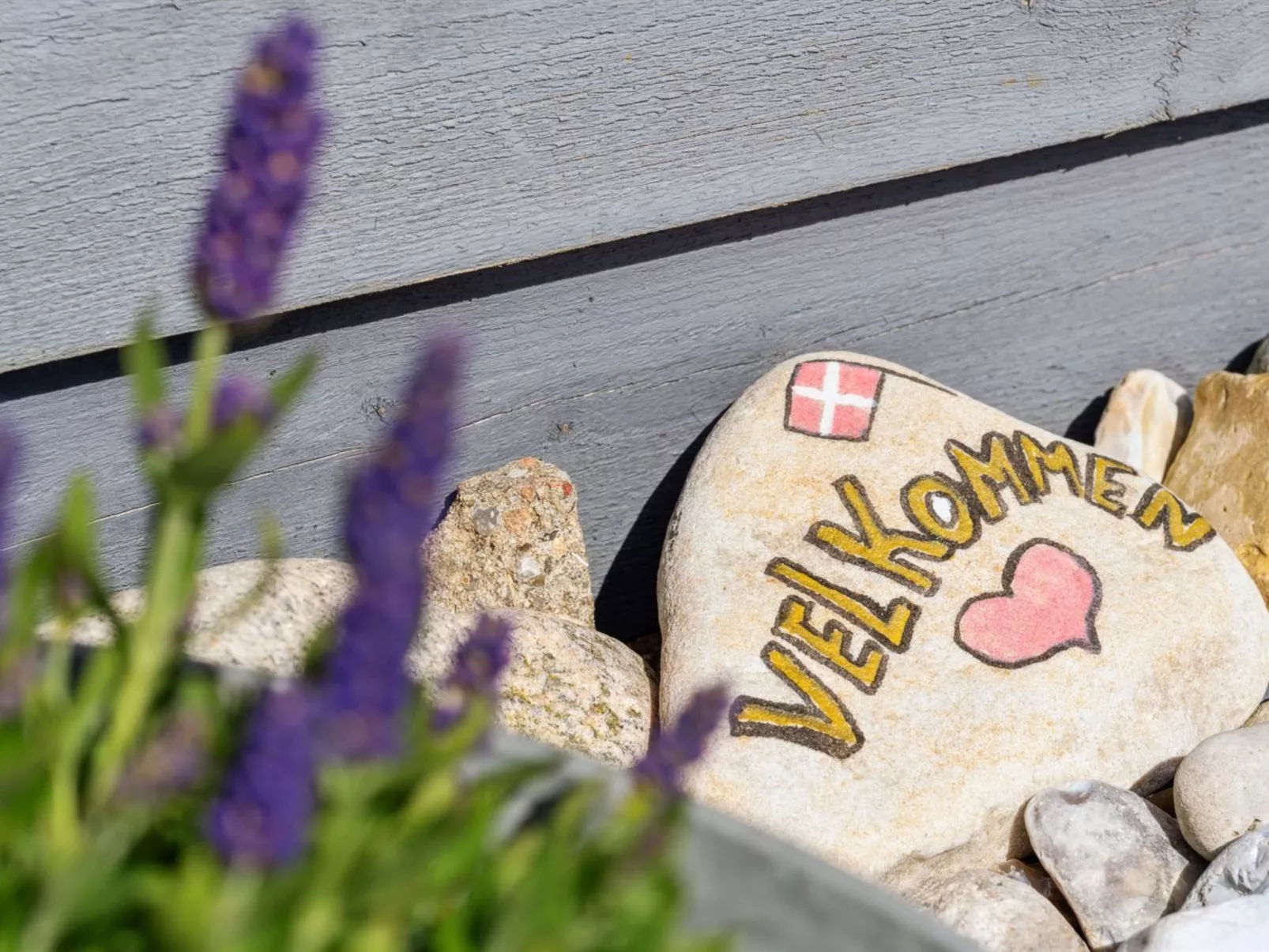 "Edzard" - 800m from the sea-Buiten