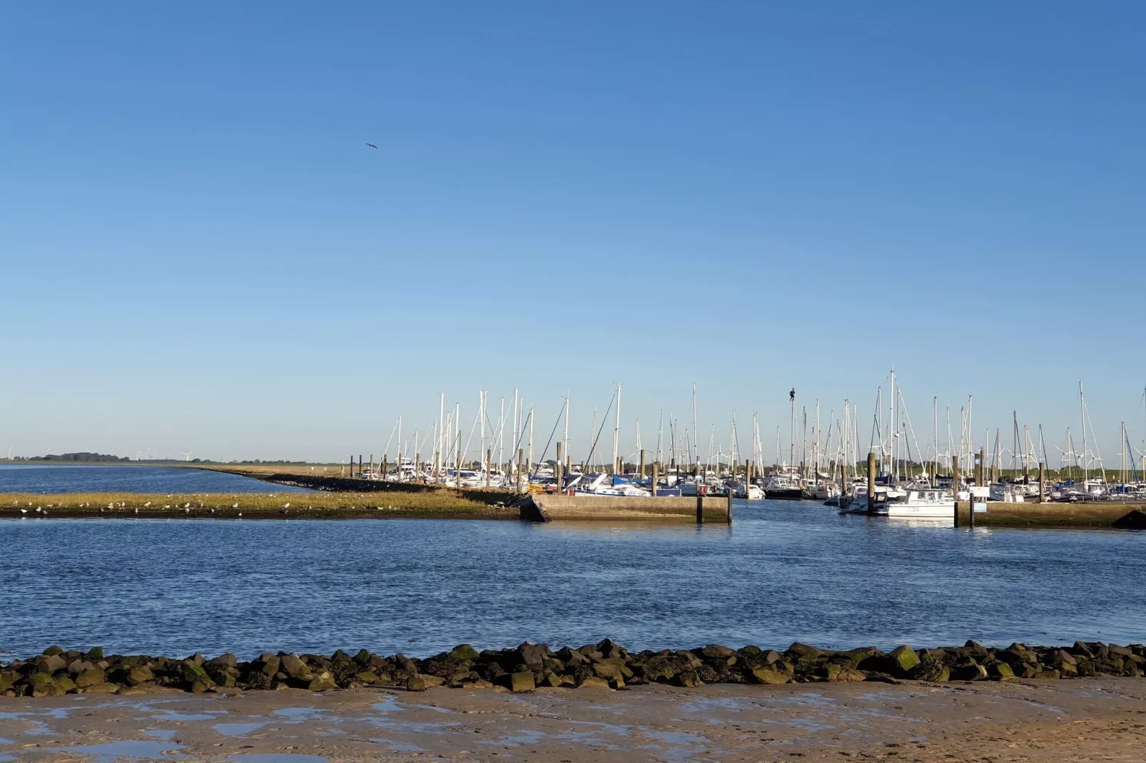 Doppelhaushälfte Wattwurm 34-Gebieden zomer 5km