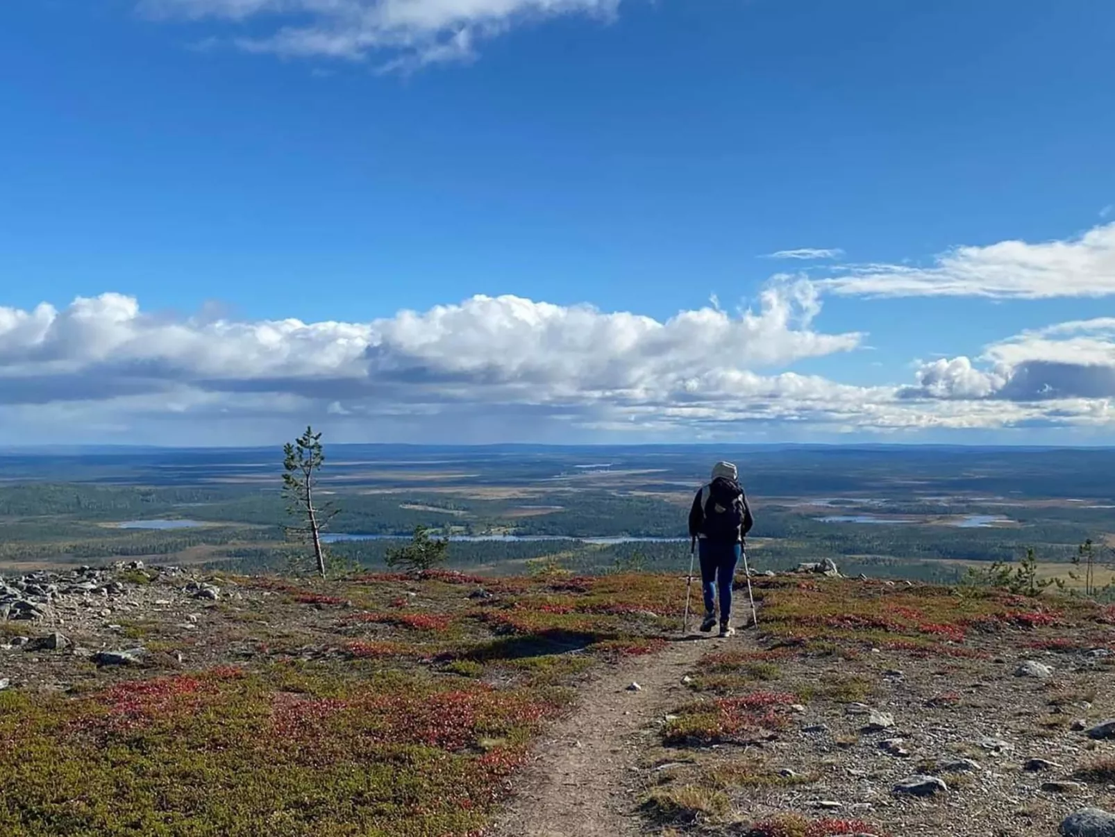 Levin stara c12-Binnen