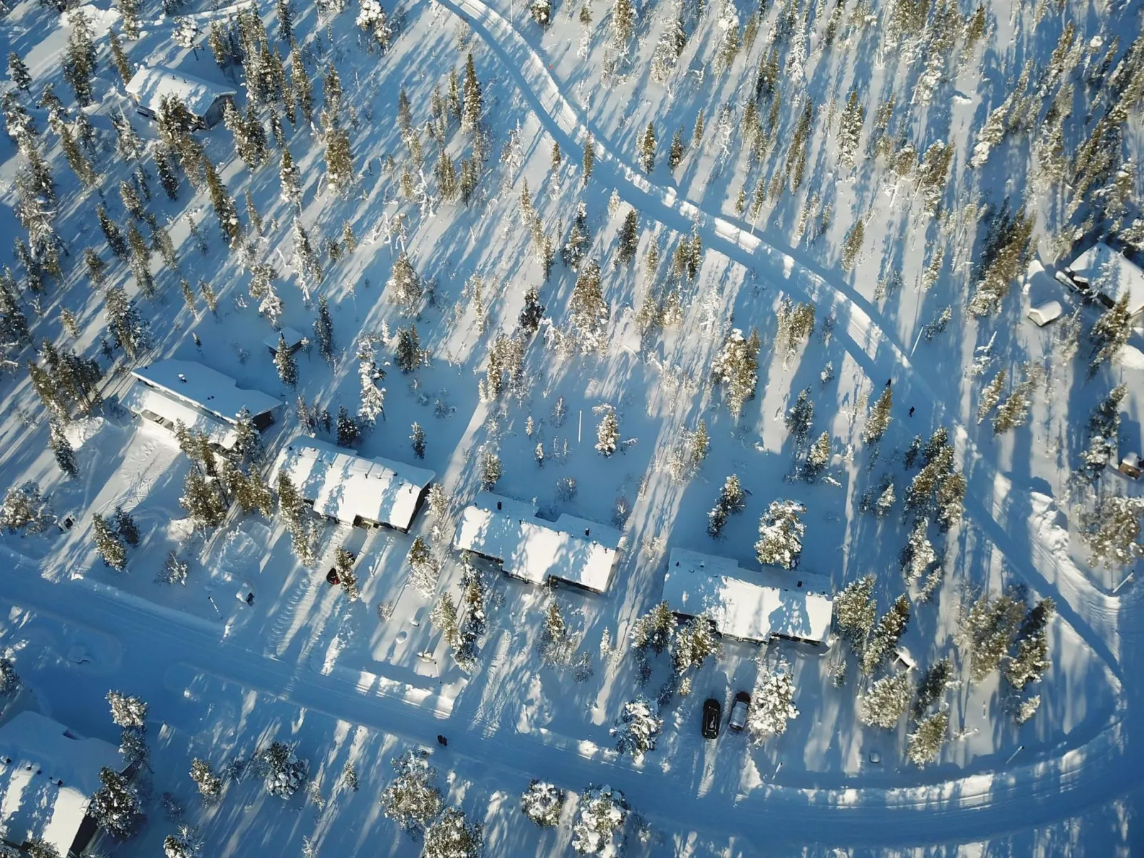 Tunturikoivu a2-Binnen