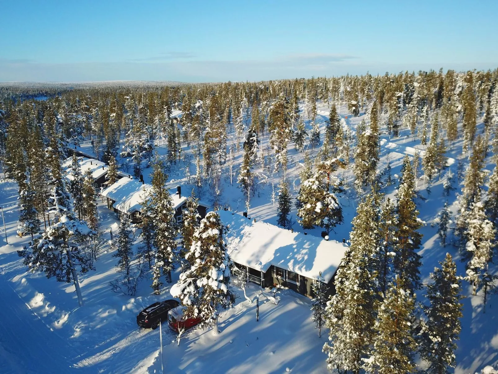 Tunturikoivu b2-Binnen