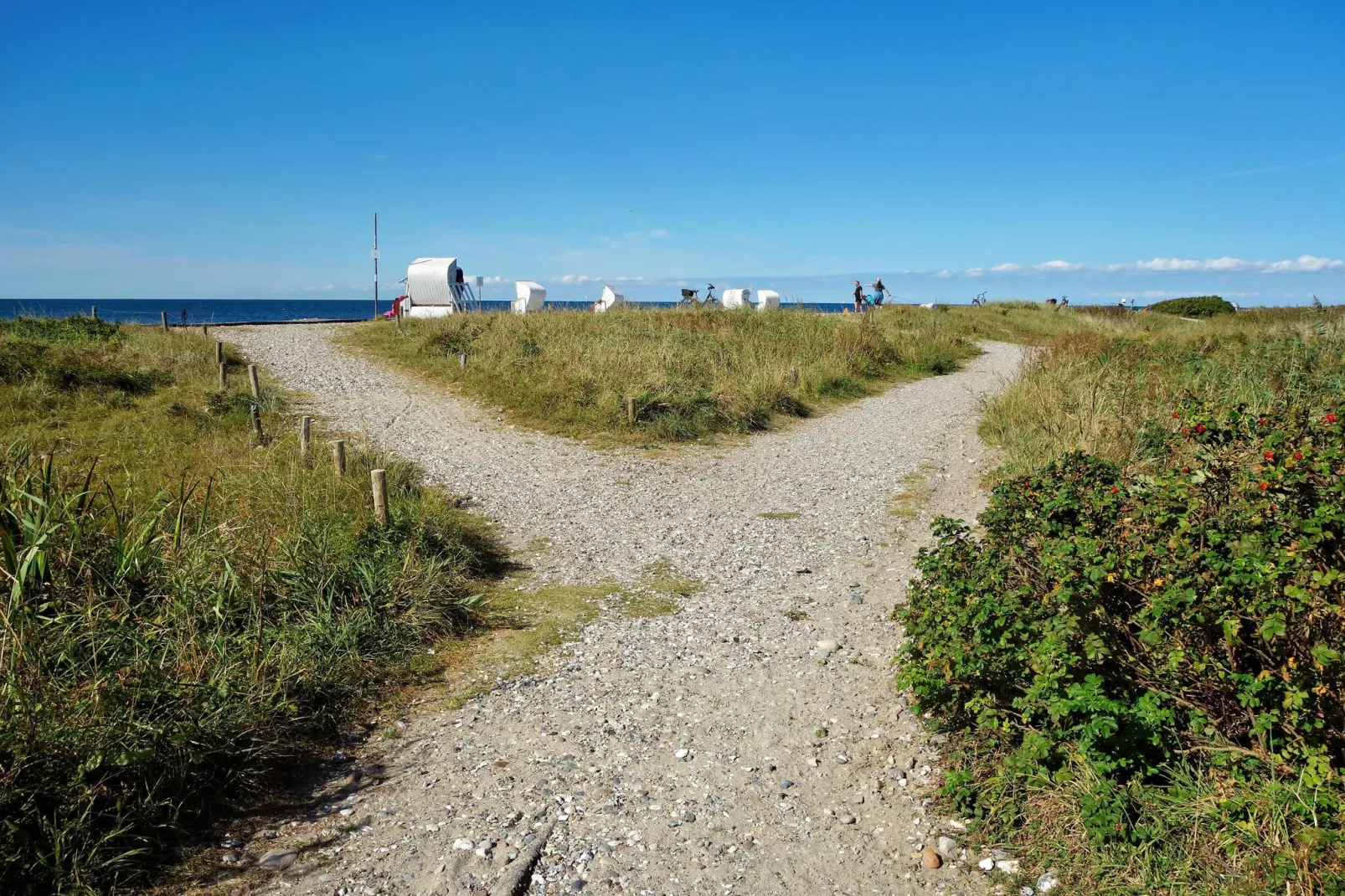 Ferienhaus Petersdorf 5 P-Gebieden zomer 5km