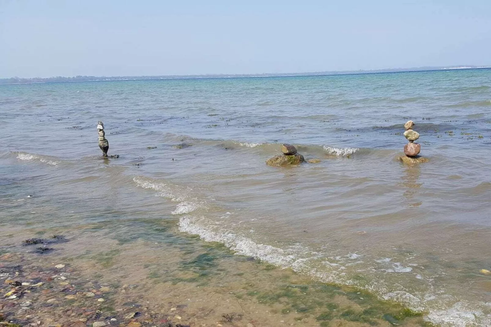 86647-Gebieden zomer 1km
