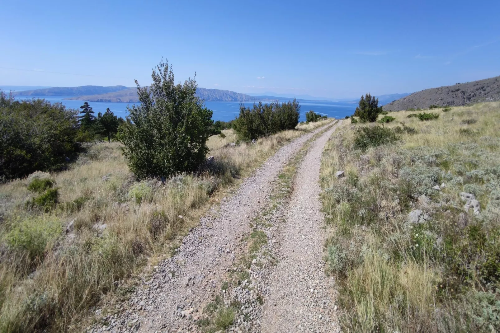 Niko 3-Gebieden zomer 5km