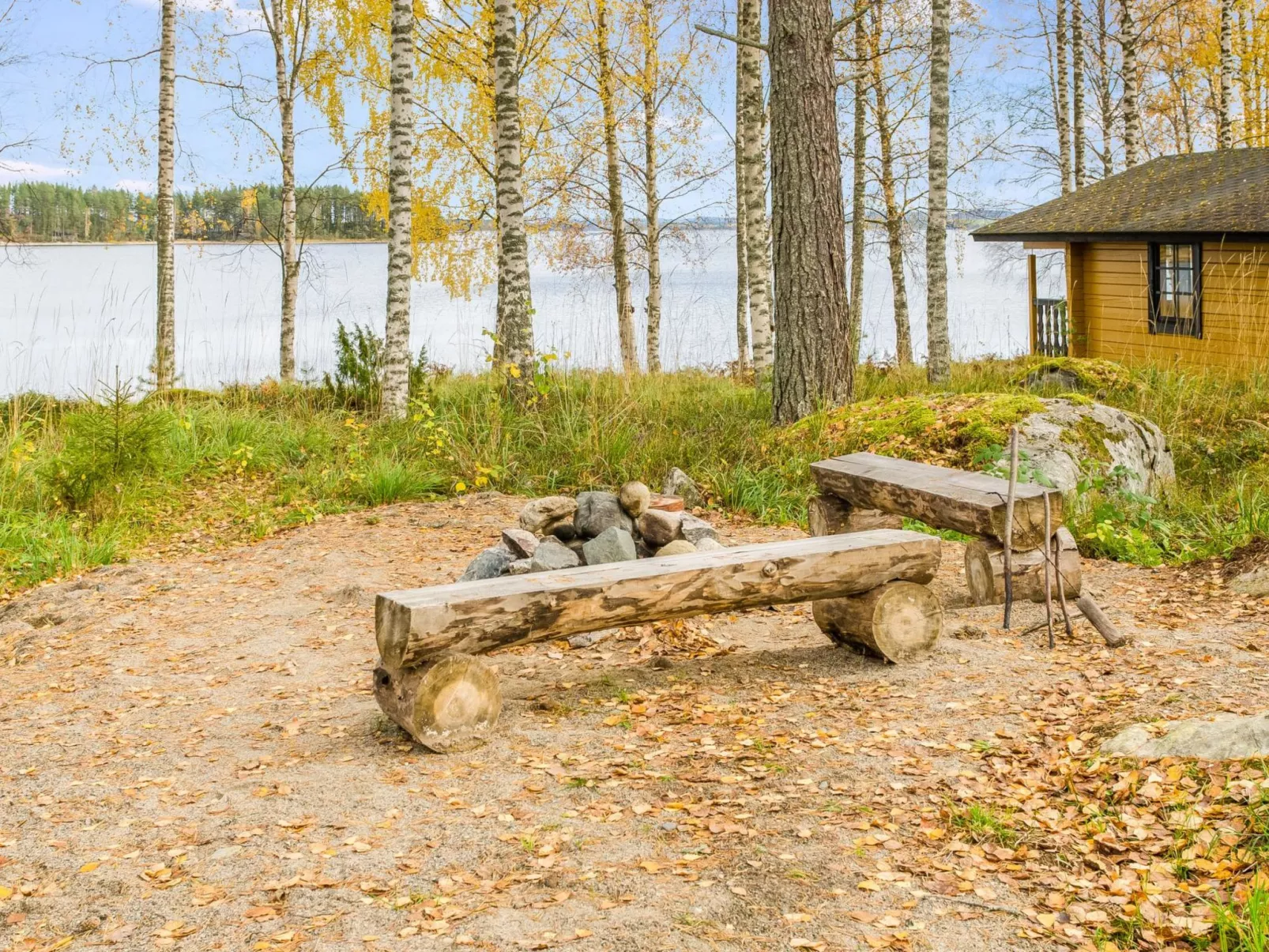 Kolin mesikämmen-Binnen