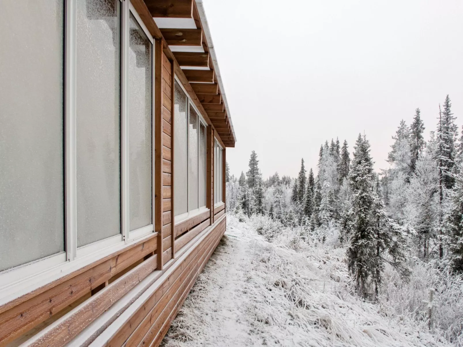 Iso-karpalo b-Binnen