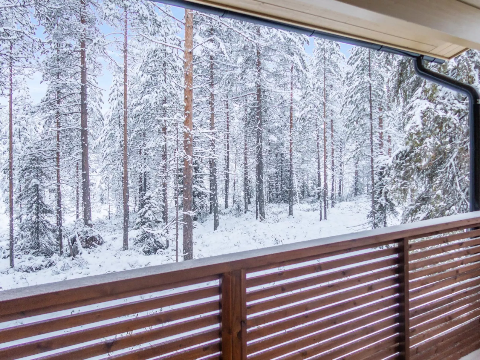 Saukonpesä b-Binnen