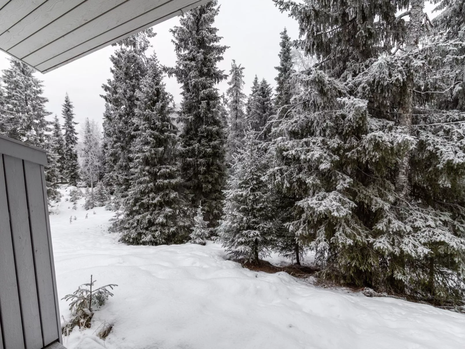 Rukan ankkuri-Binnen