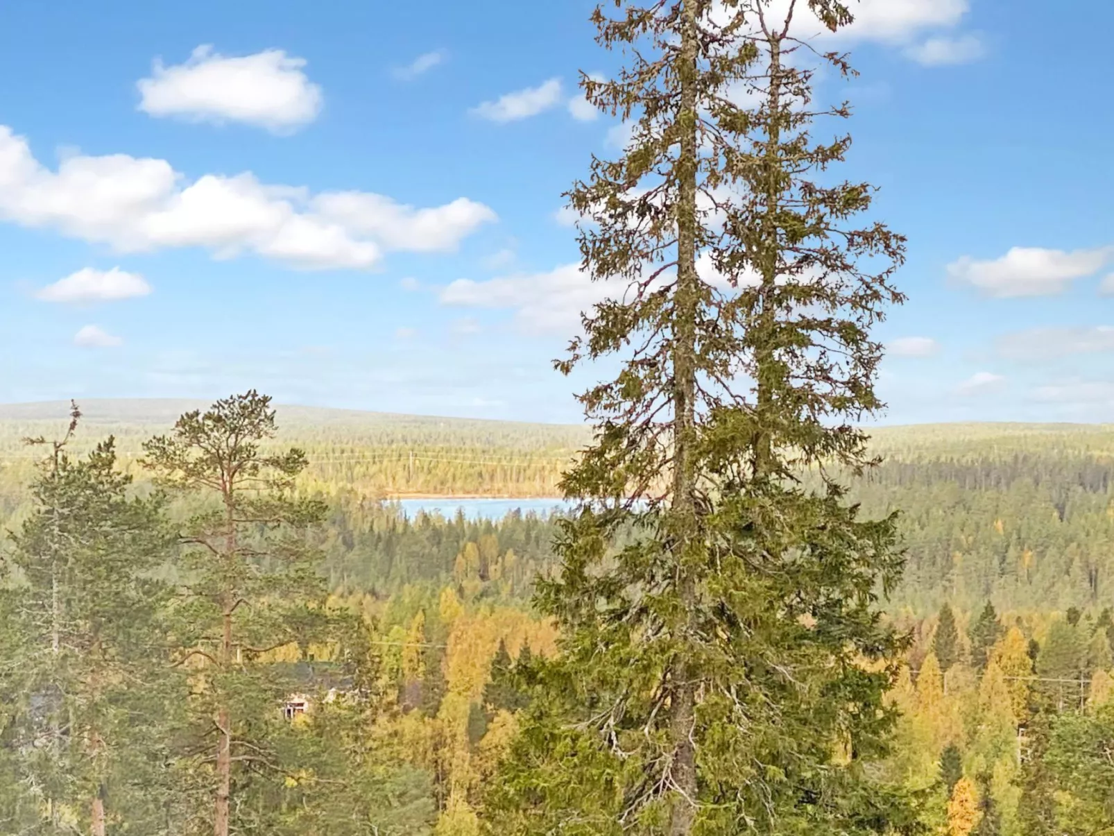 Kesä-iikka 4-Binnen