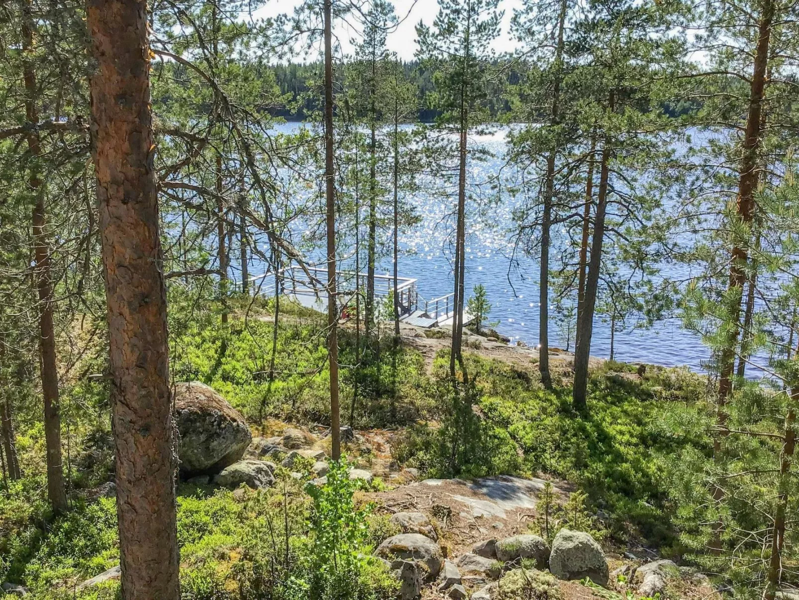 Näsinjoutsen-Binnen