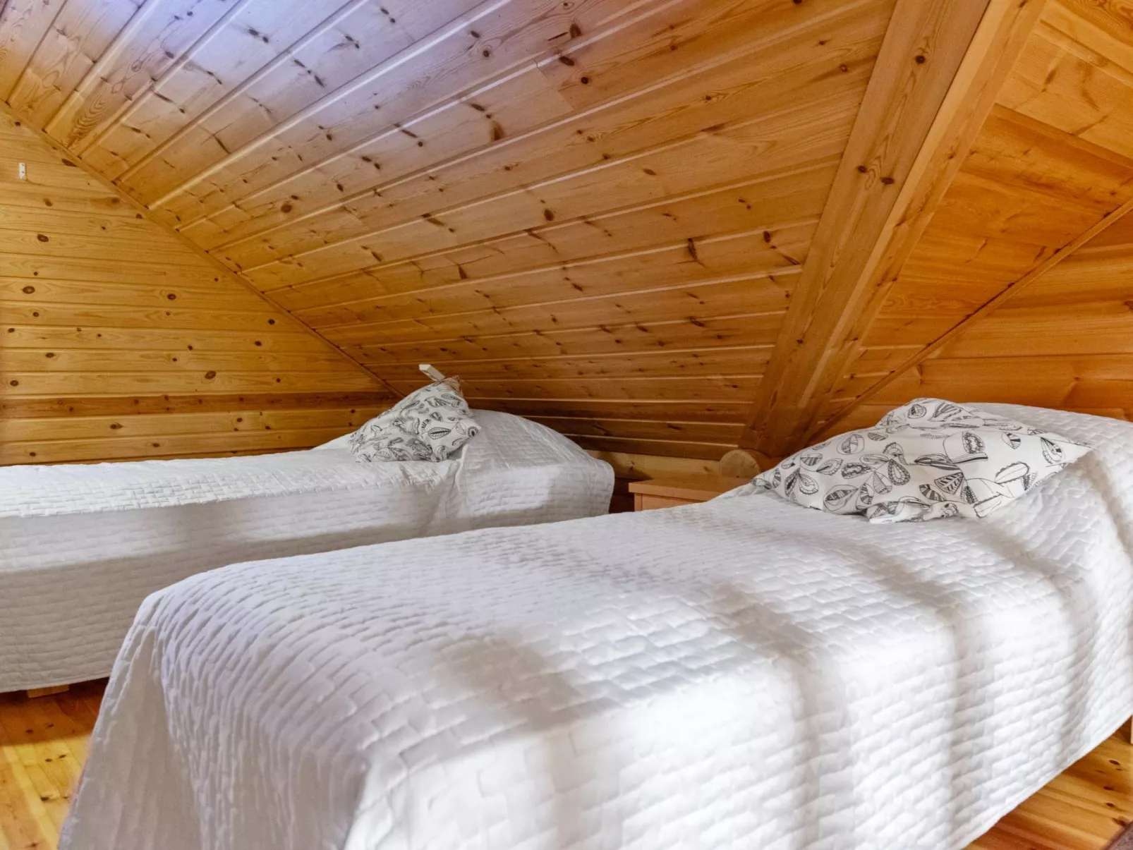 Kilpolan orvokki-Binnen