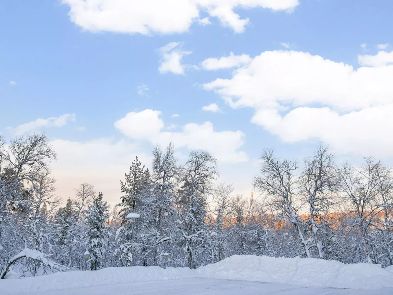 Lomariekko 6 a 2-Binnen