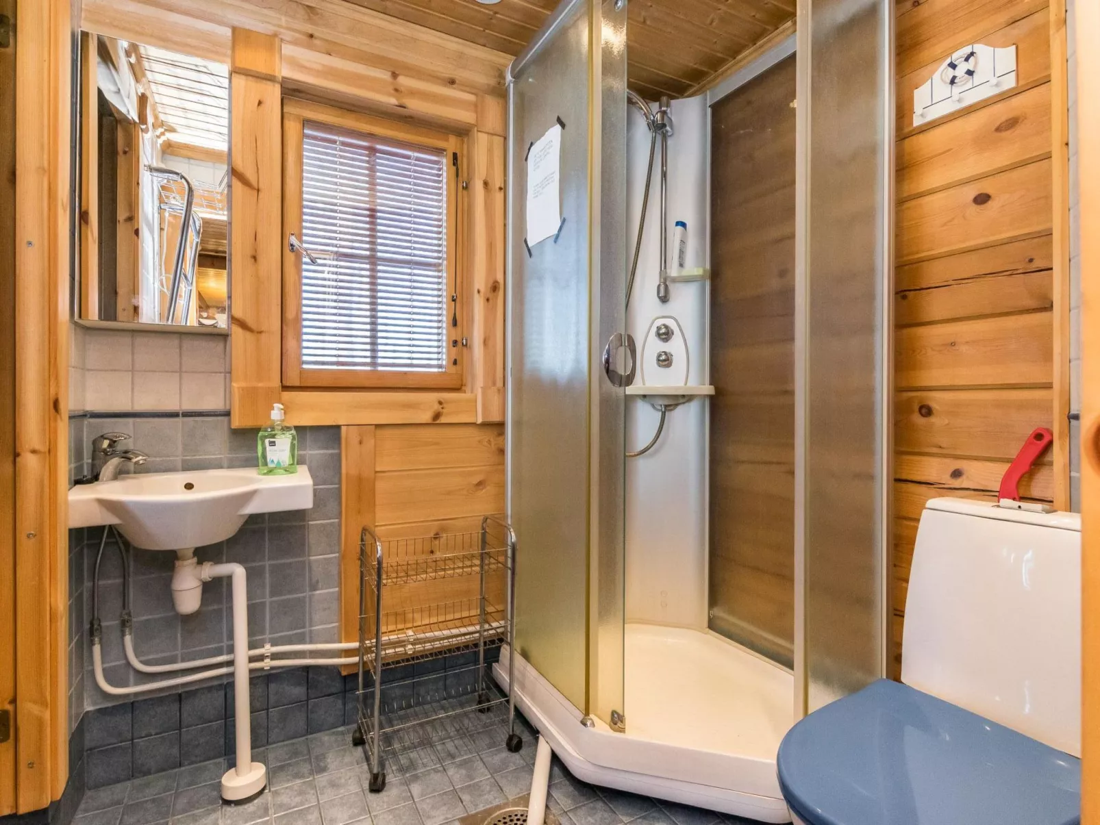 Puolen hehtaarin metsä-Binnen