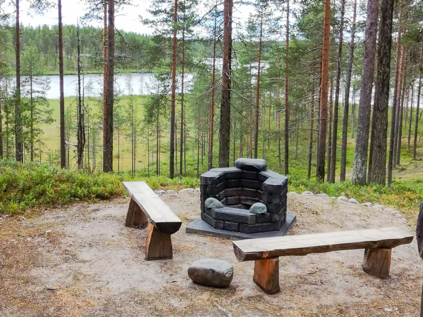 Villihanhi 7b-Binnen